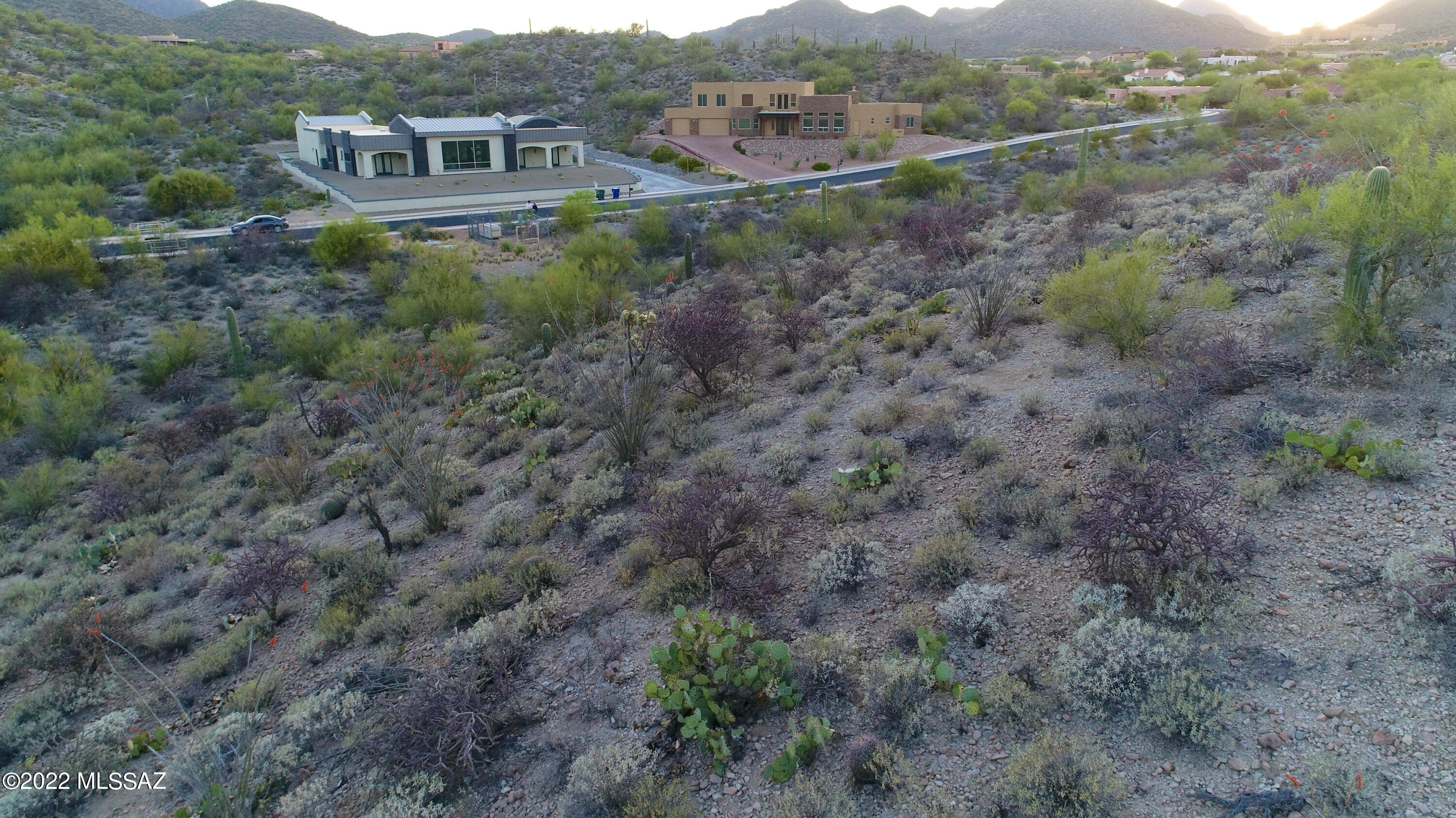 Coyote Pass Amended - Land