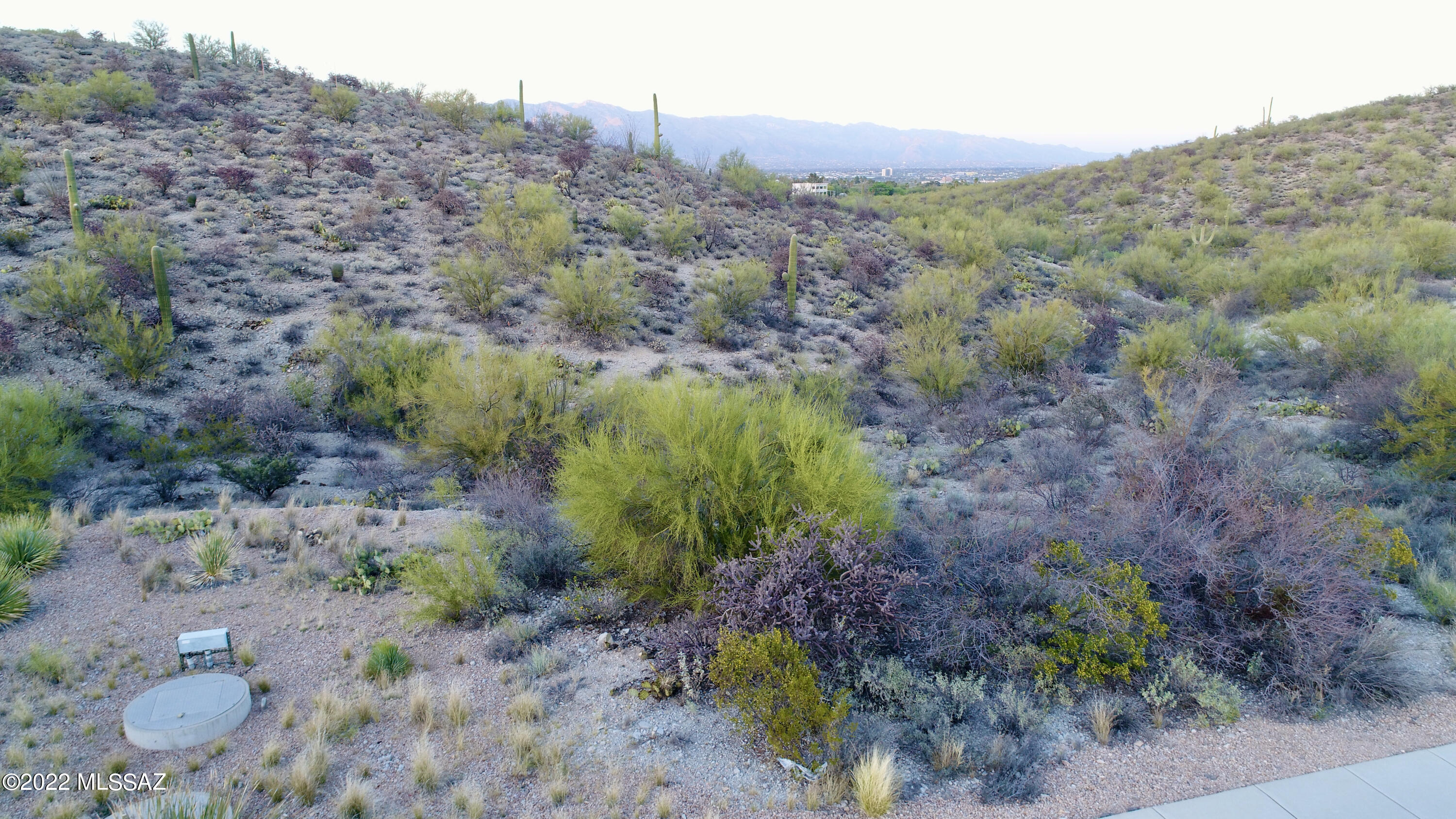 Coyote Pass Amended - Land