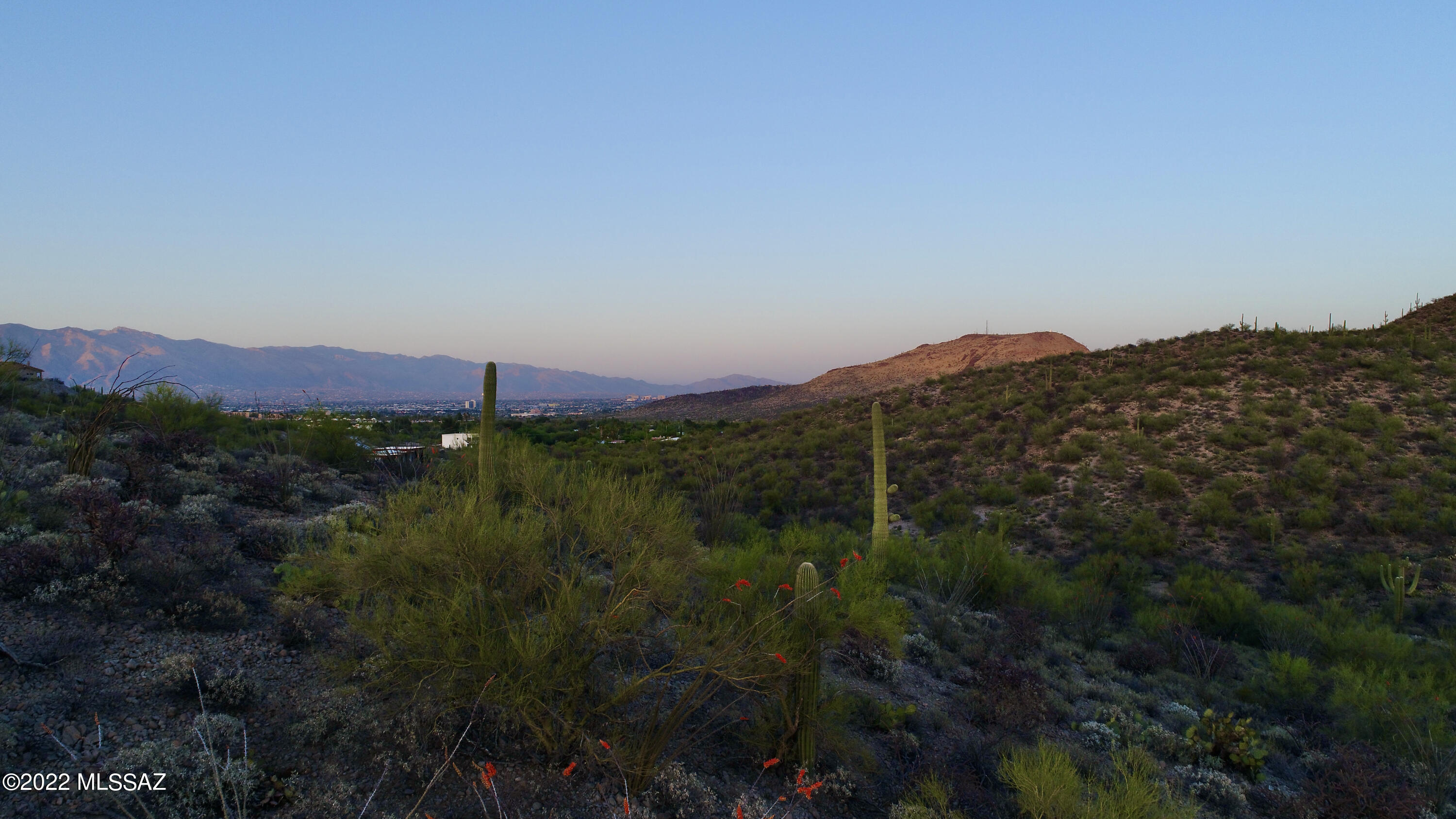 Coyote Pass Amended - Land