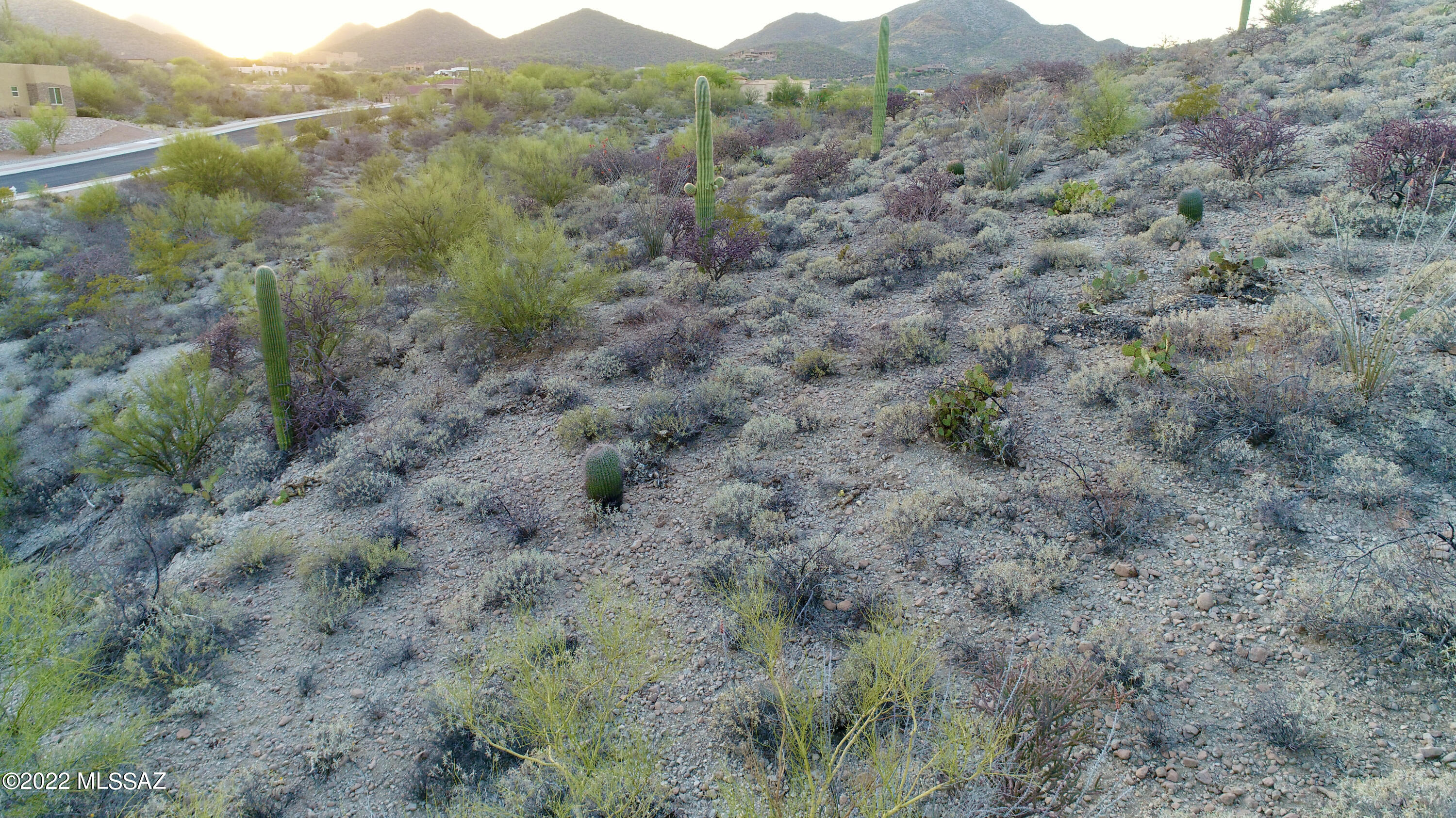 Coyote Pass Amended - Land