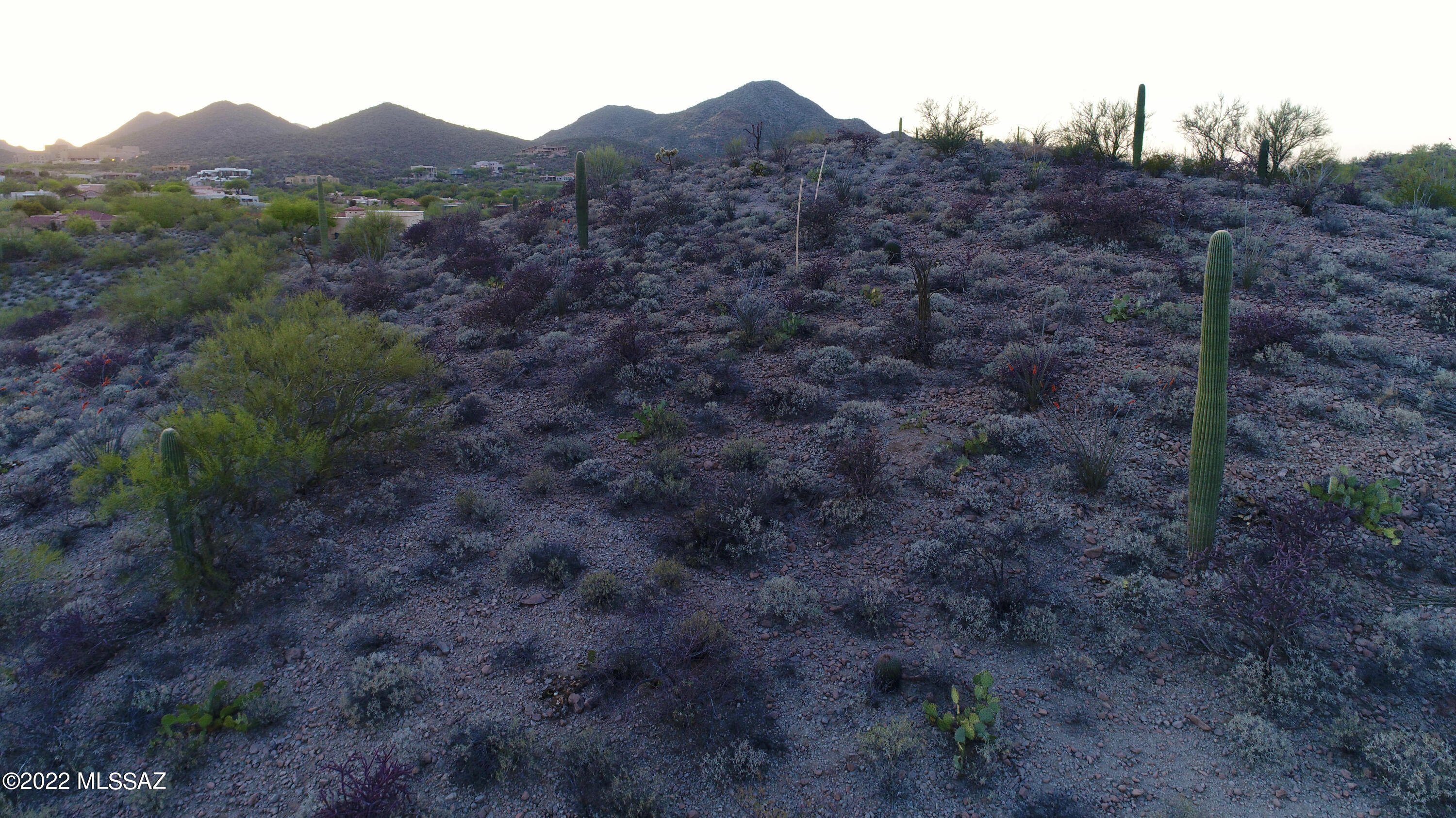 Coyote Pass Amended - Land