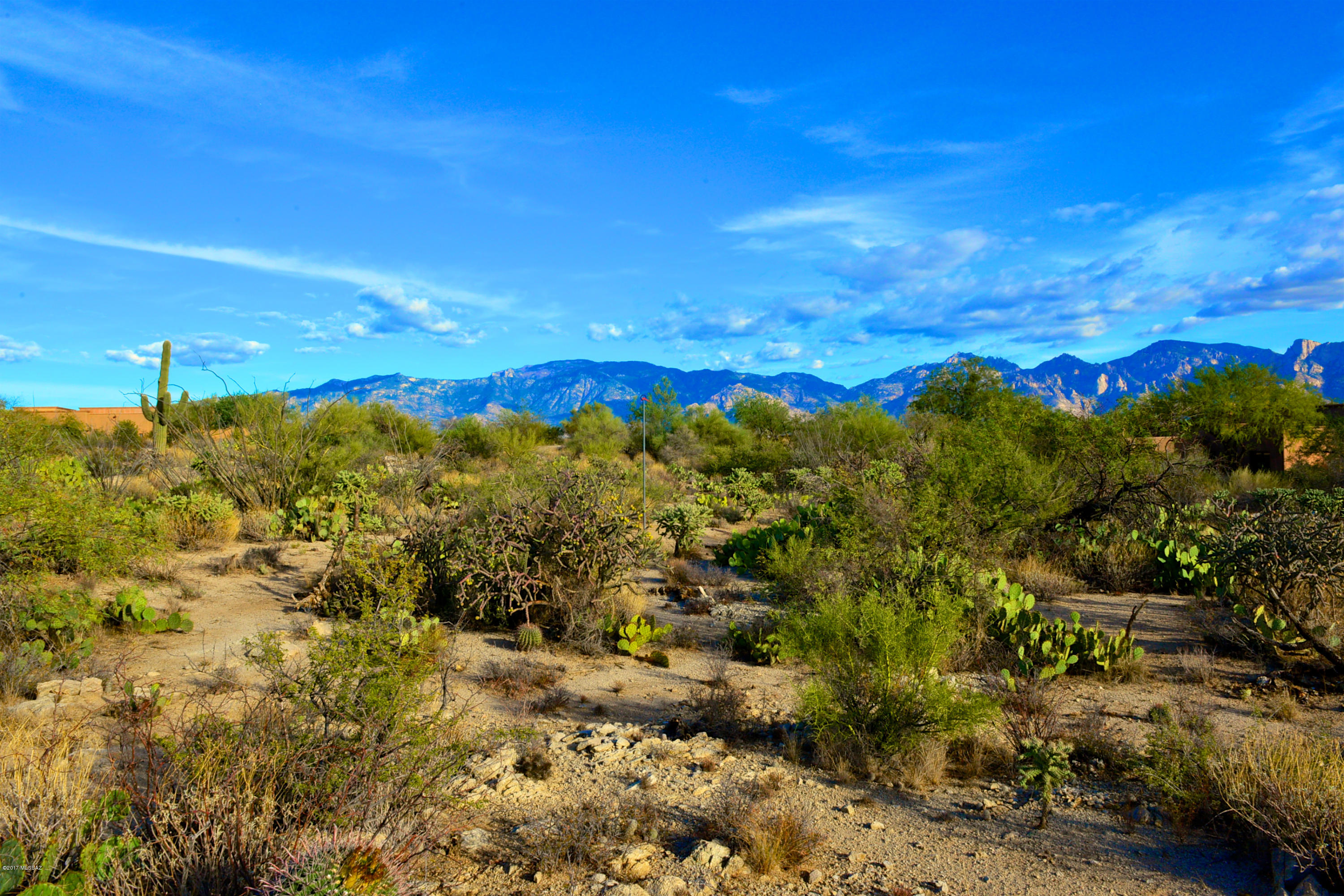 Stone Canyon I - Land