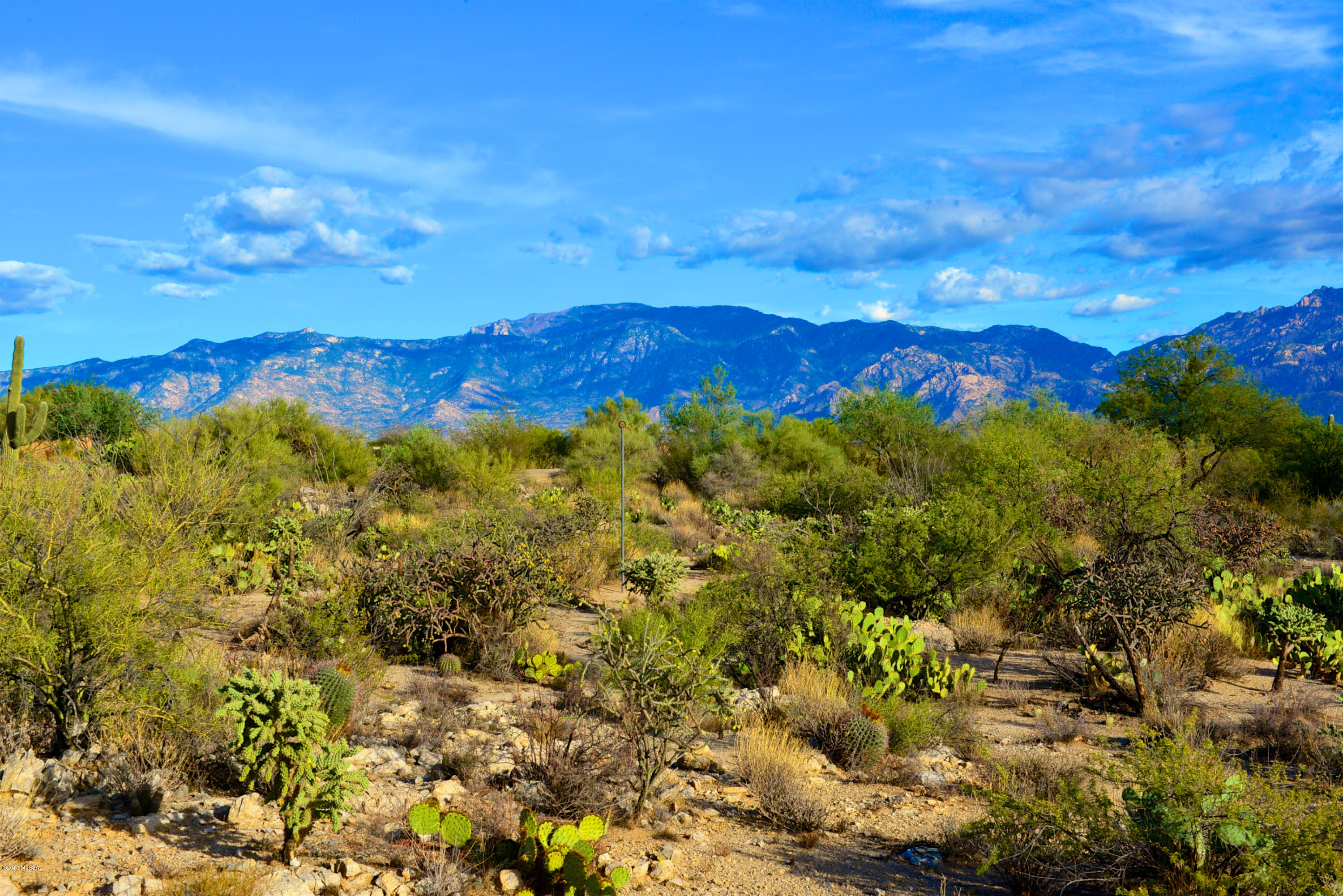 Stone Canyon I - Land