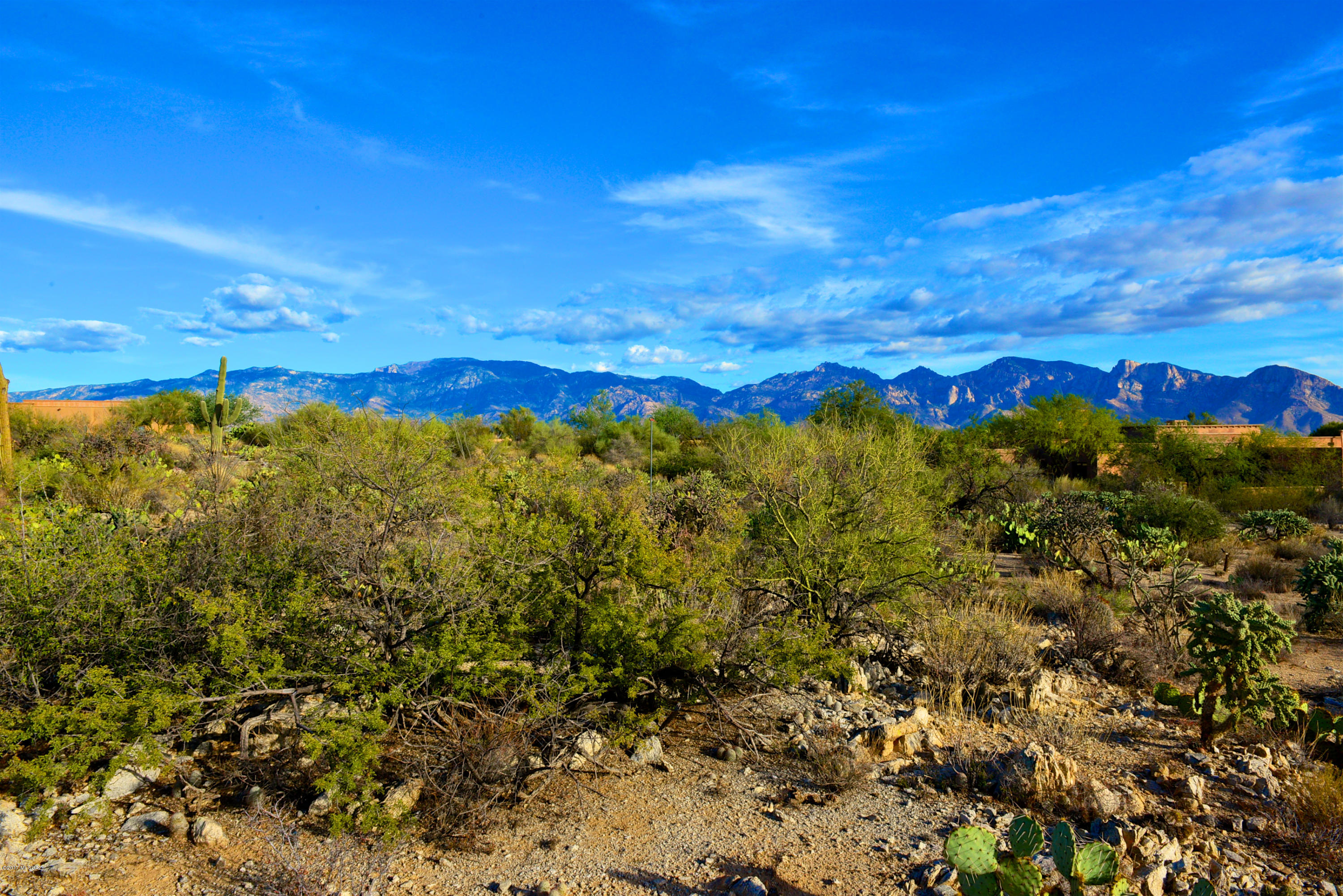 Stone Canyon I - Land
