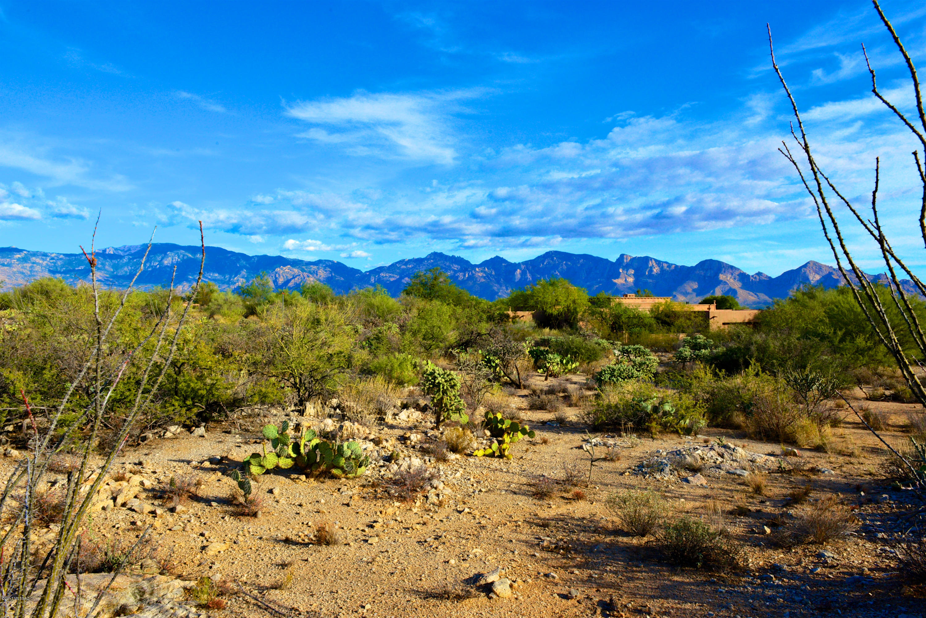 Stone Canyon I - Land