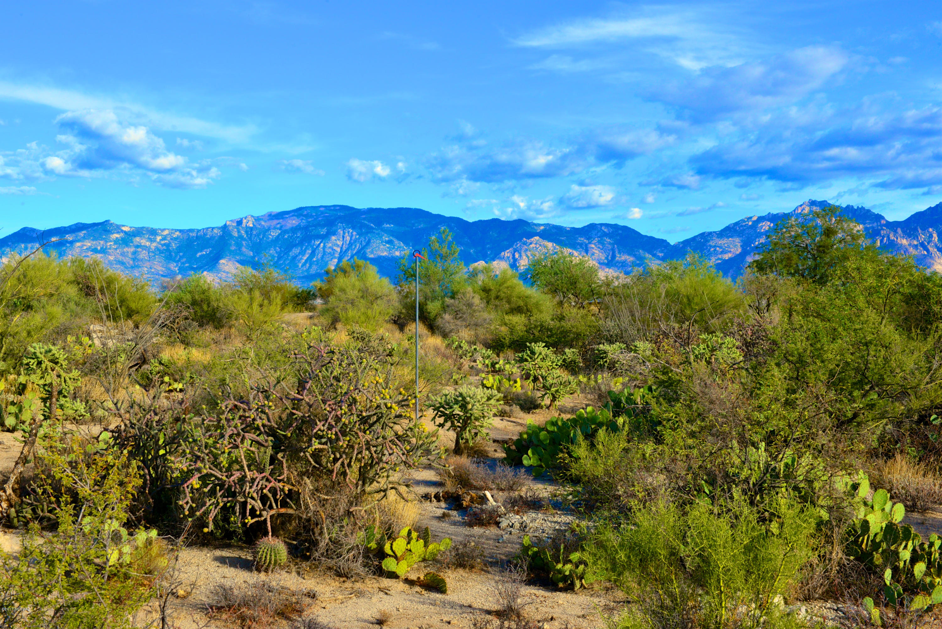 FABULOUS PRICE!  Lovely and very versatile 1.06 Acre easy-build homesite with multiple view options in the private Stone Canyon golf community located within Rancho Vistoso, a master planned community in Oro Valley, Tucson's northwest resort area. Outstanding panoramic & multiple 360 degree orientation options! Position your custom home to capture sunrise, sunset, distant Tucson city lights, or the majestic Catalina Mountain or rugged Tortolita Mountain views. STONE CANYON is a PRIVATE GUARD-GATED LUXURY RESIDENTIAL GOLF COMMUNITY ranked in the Top 3 in Arizona and Top100 RESIDENTIAL GOLF COURSES in the country. Membership Req'd. Fabulous Private Club with fitness center, tennis courts and several pools plus Clubhouse with restaurant & Bar (all open to Members only).  Build when ready!