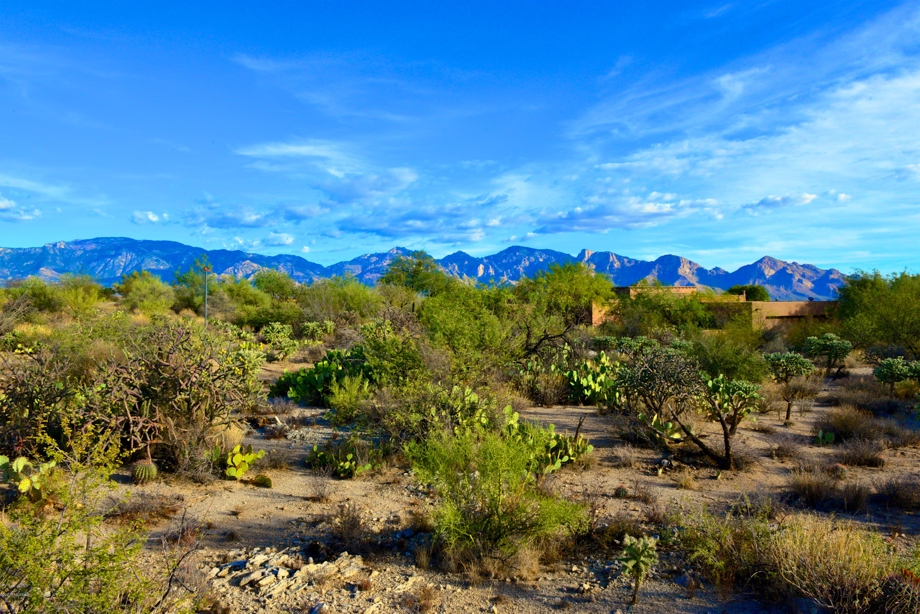 Stone Canyon I - Land