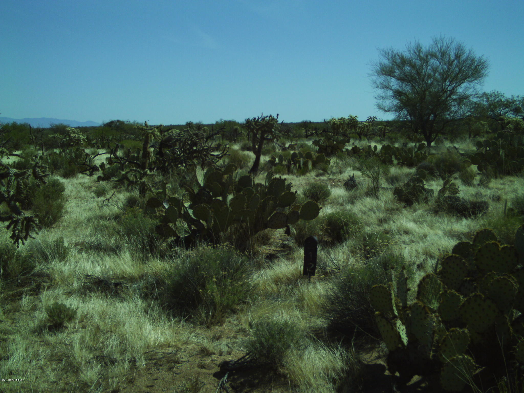 Diamond Bell Ranch - Tucson Unit 5 (1-521) - Land