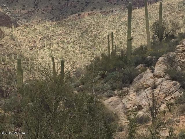 Canyons (The) - Land