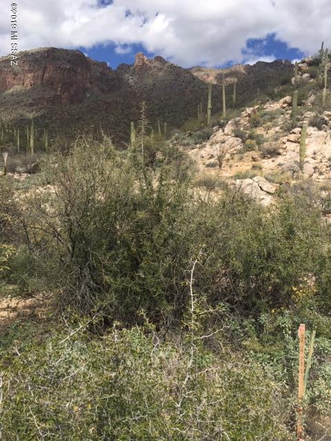 Canyons (The) - Land