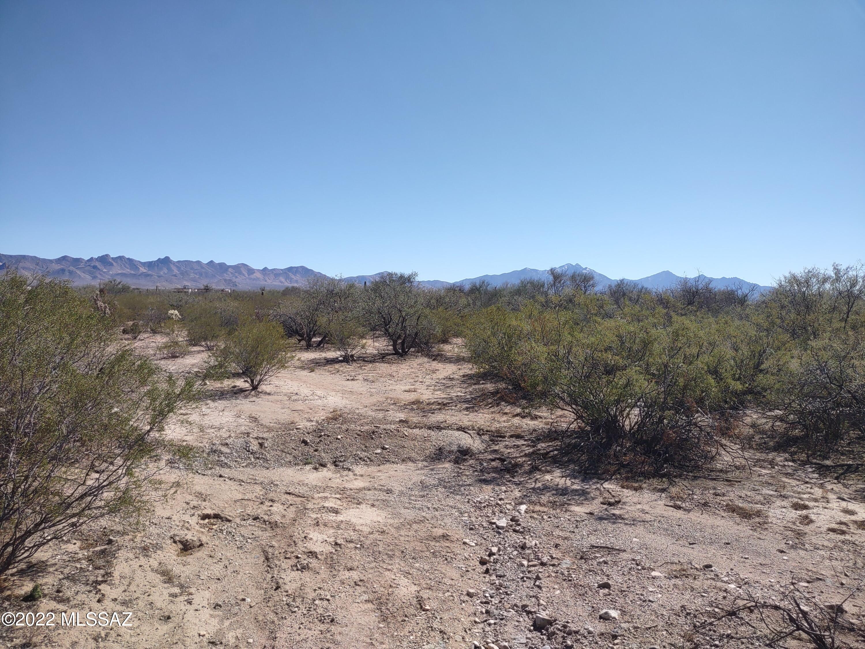 Flat land with riparian area running down east side of property.  Unobstructed view of the Santa Rita Mountains.  Nice building site surrounded by four saguaros on center of lot.
