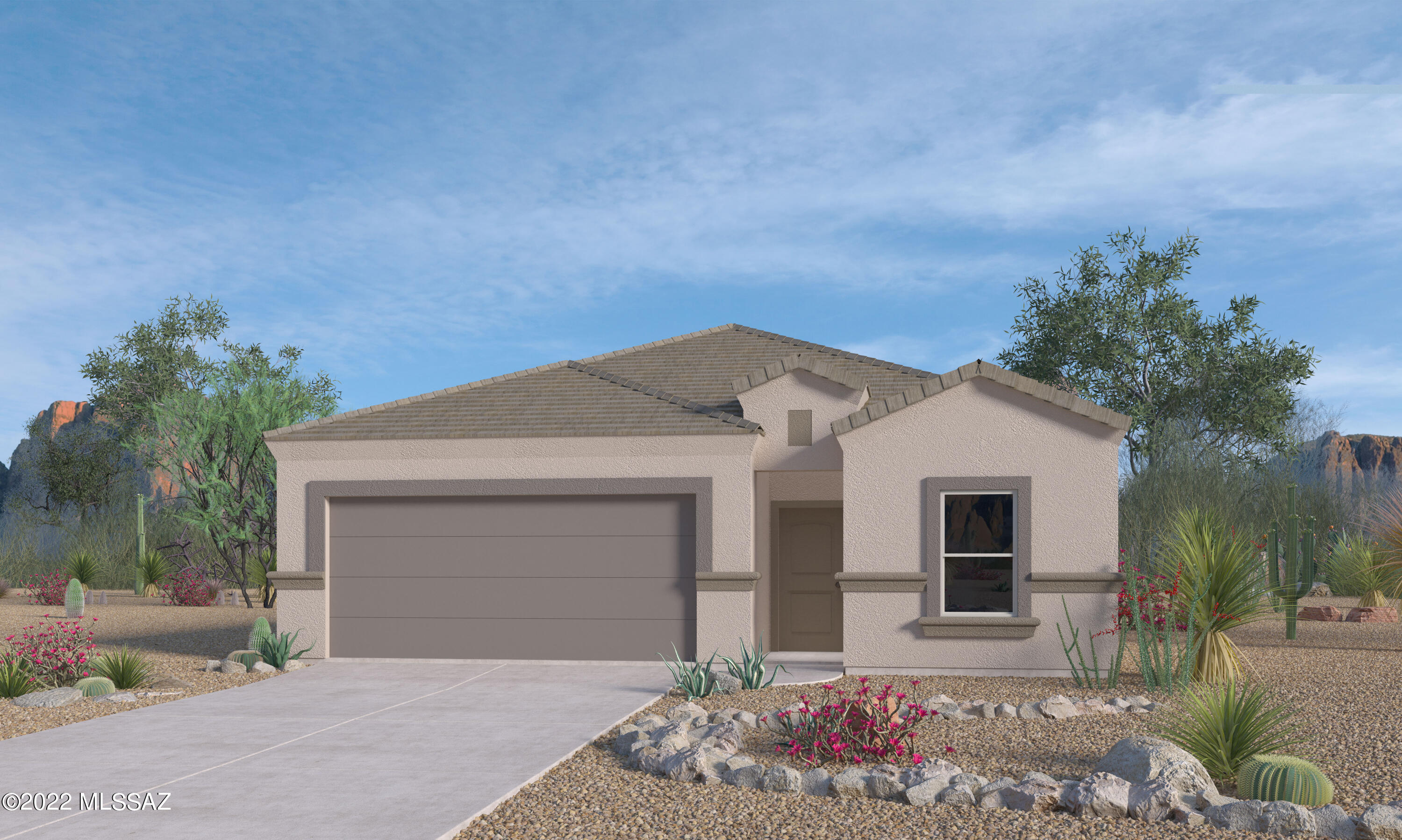 Saguaro Bloom SQ20180540069 - Residential