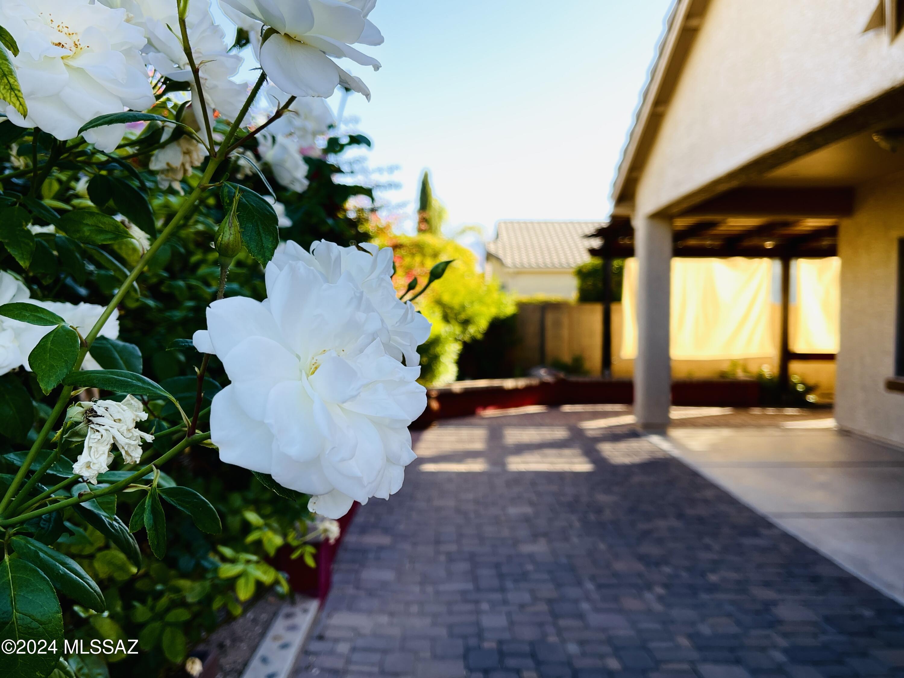 Rancho Vistoso NGHB 10 & 11 (1-360) - Residential Lease