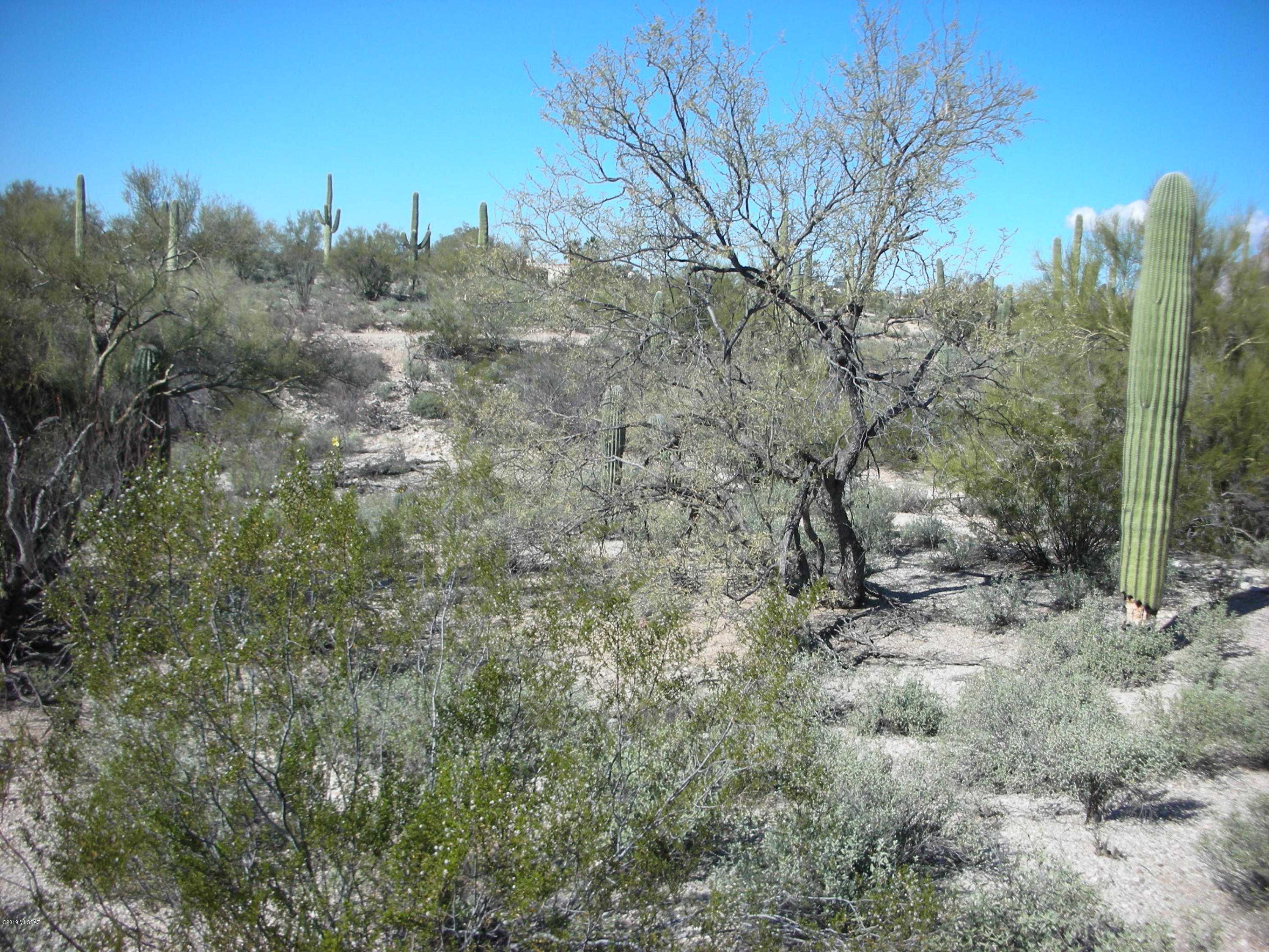 Catalina Foothills Estates - Land