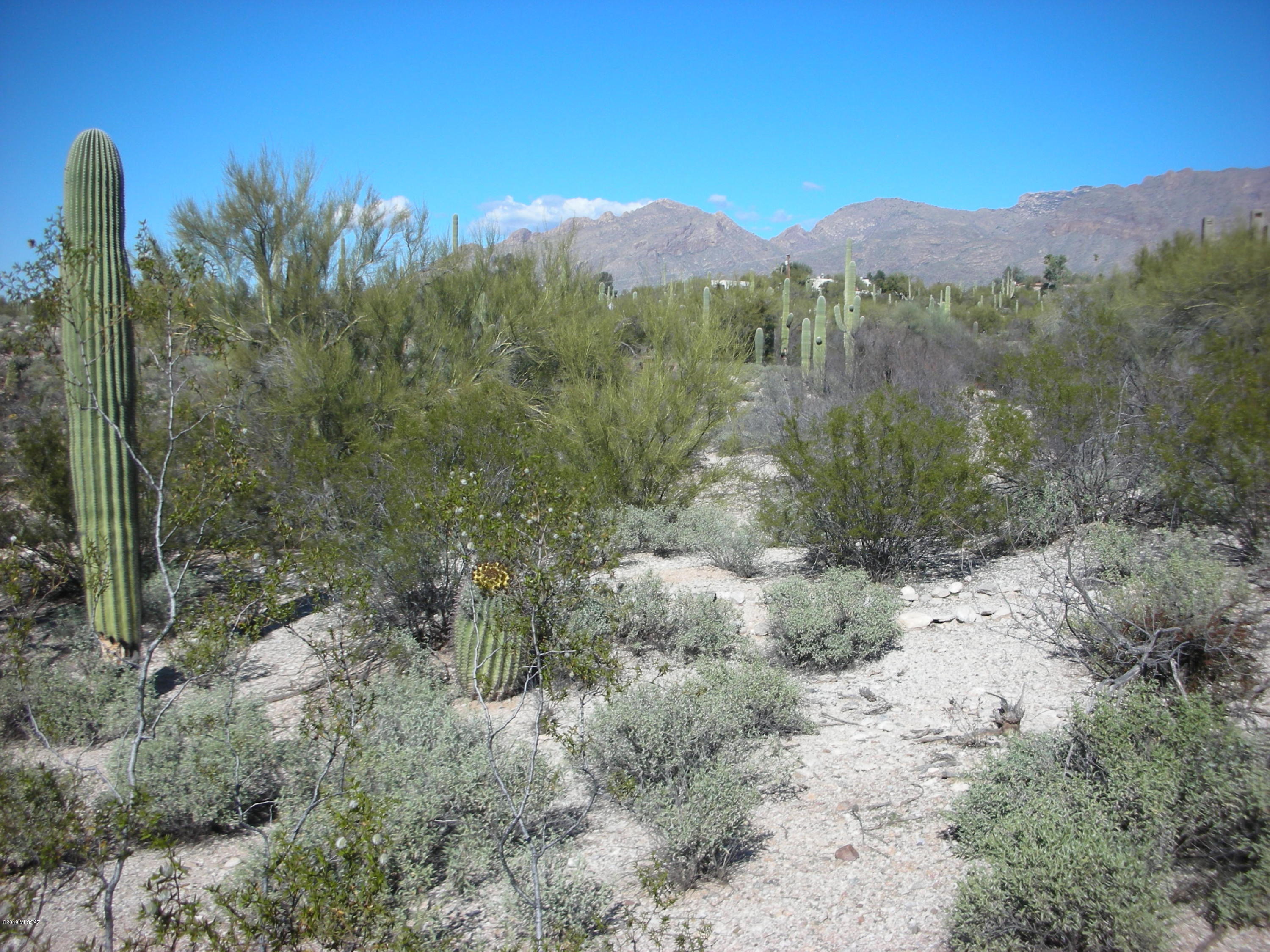 Catalina Foothills Estates - Land