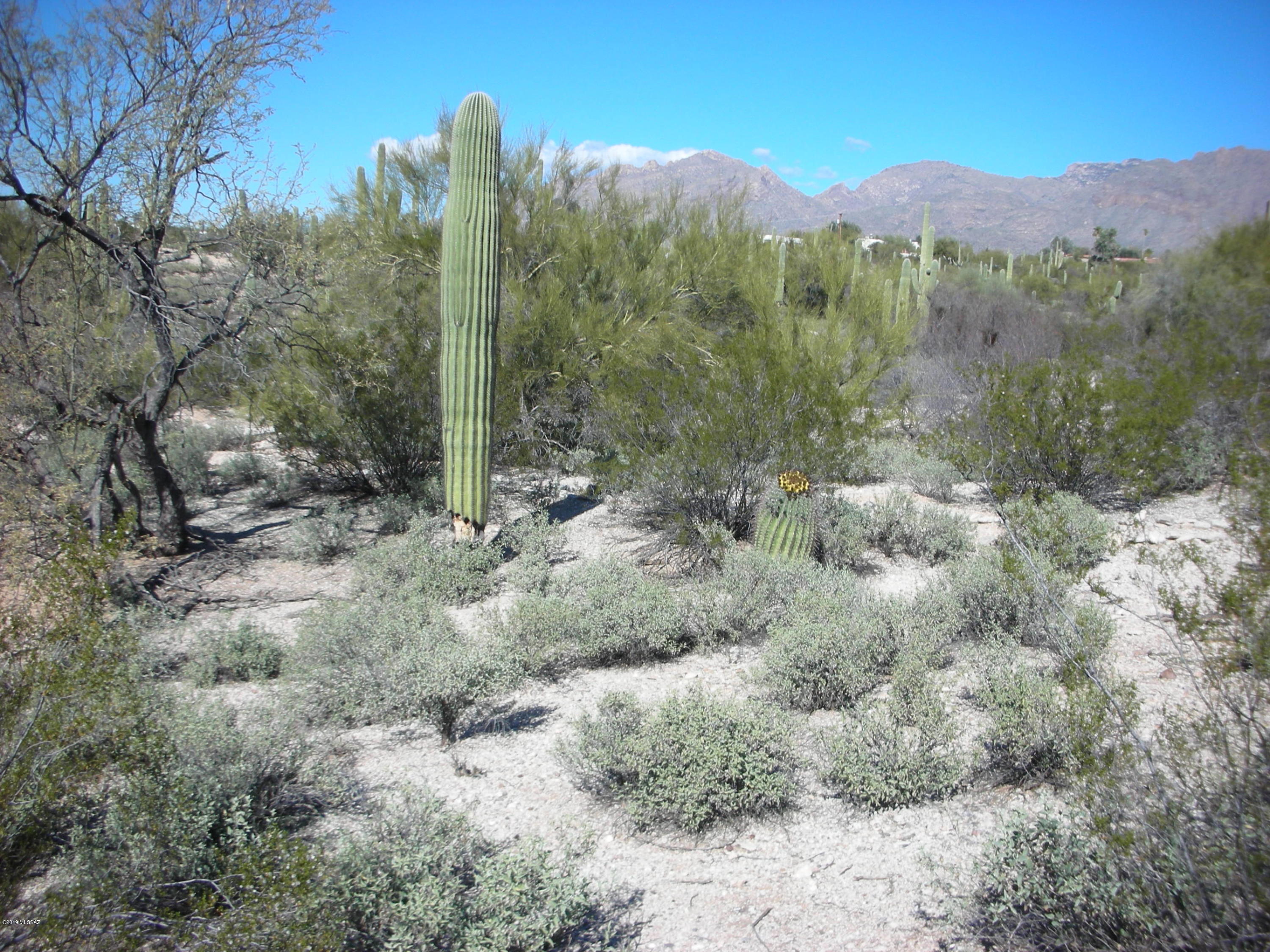 Catalina Foothills Estates - Land
