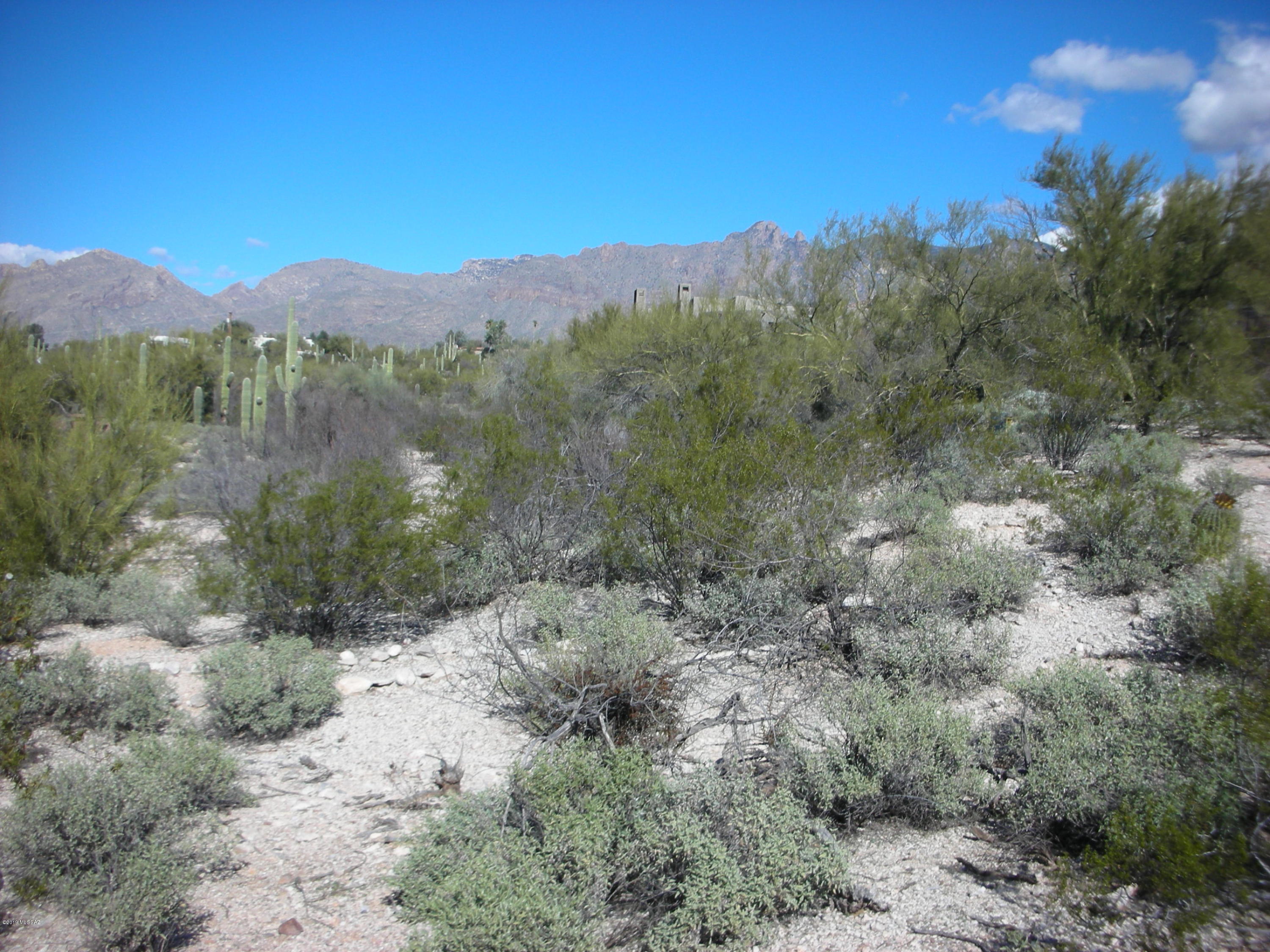 Catalina Foothills Estates - Land