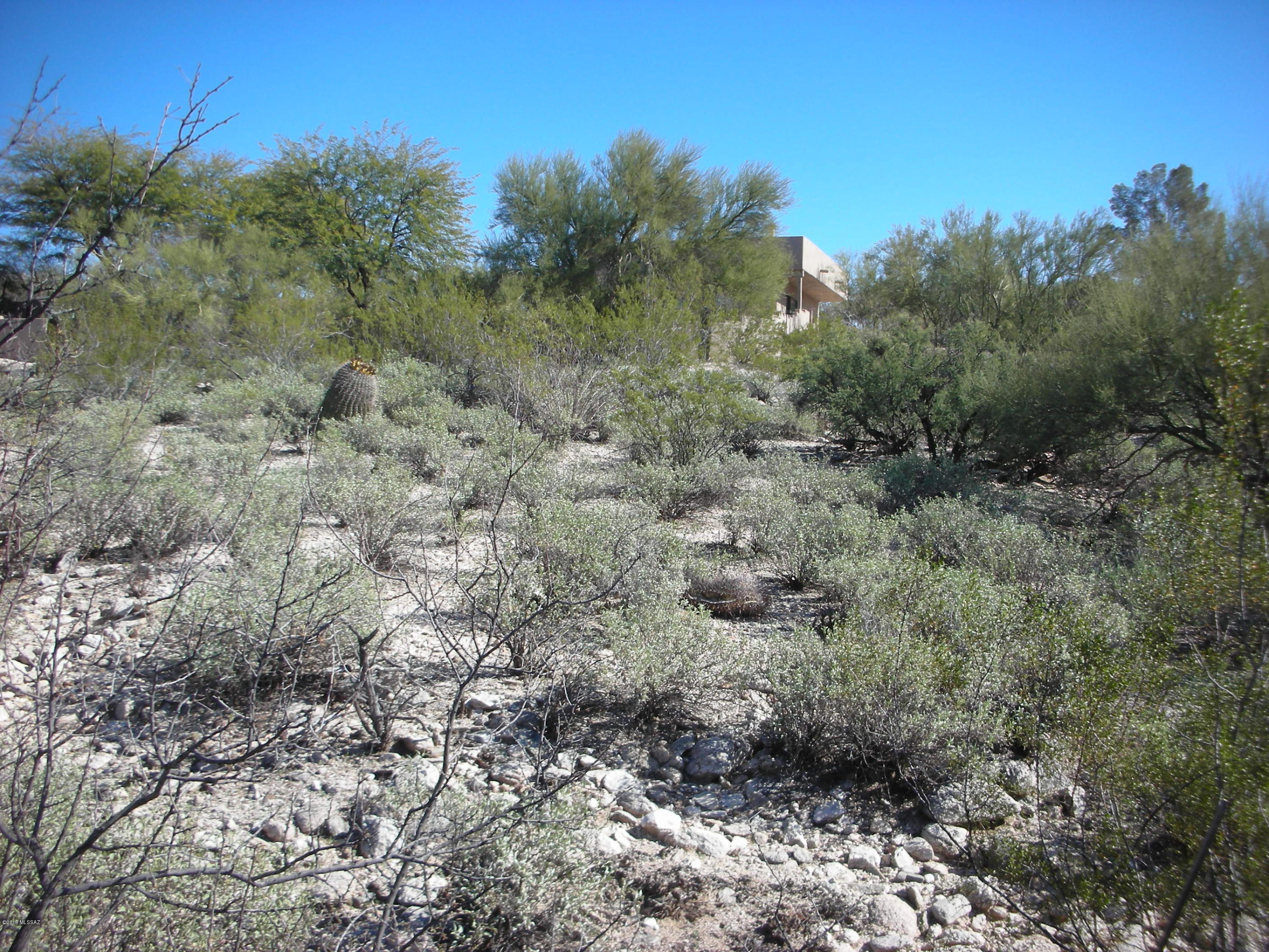 Catalina Foothills Estates - Land