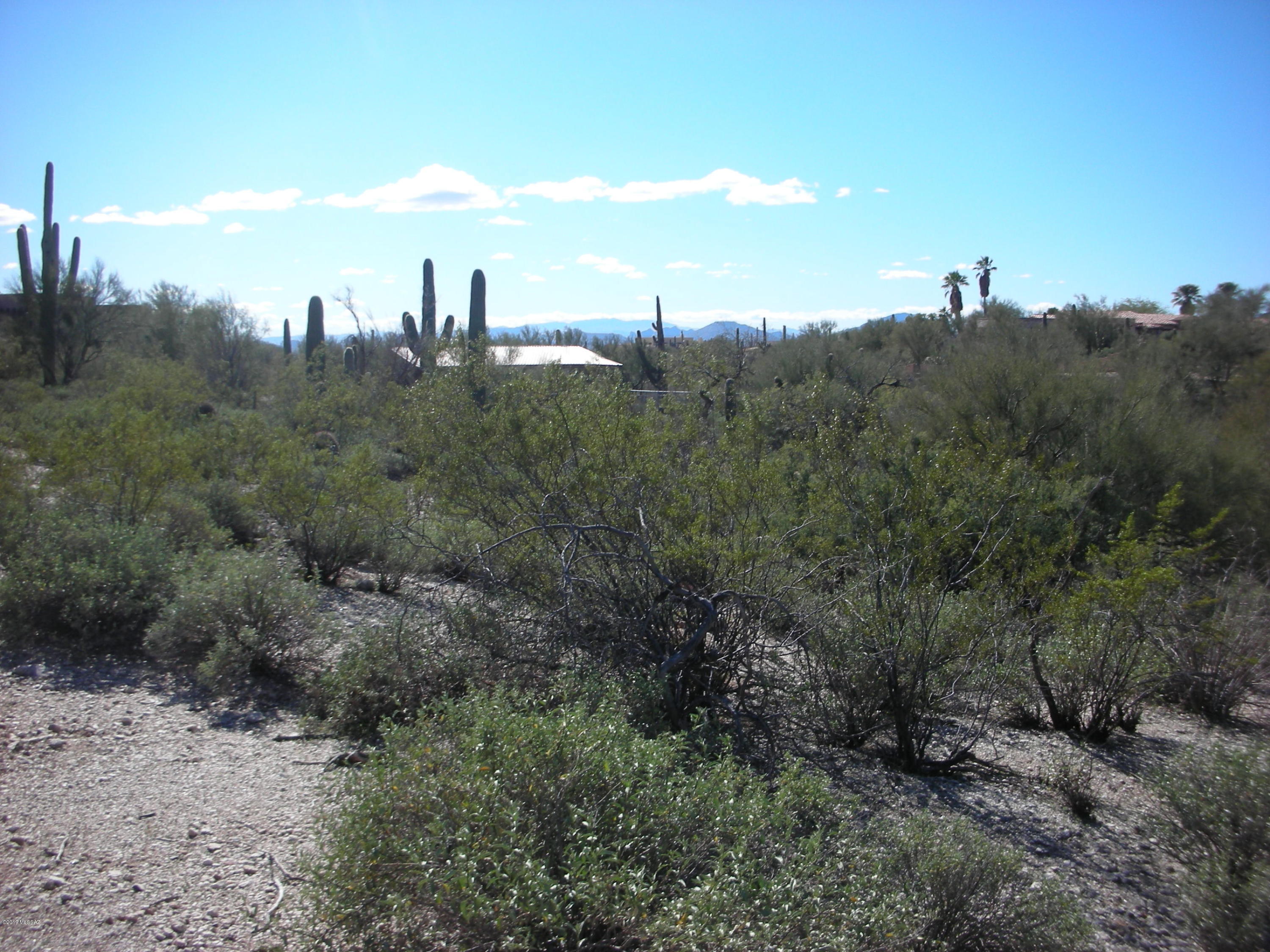 Catalina Foothills Estates - Land