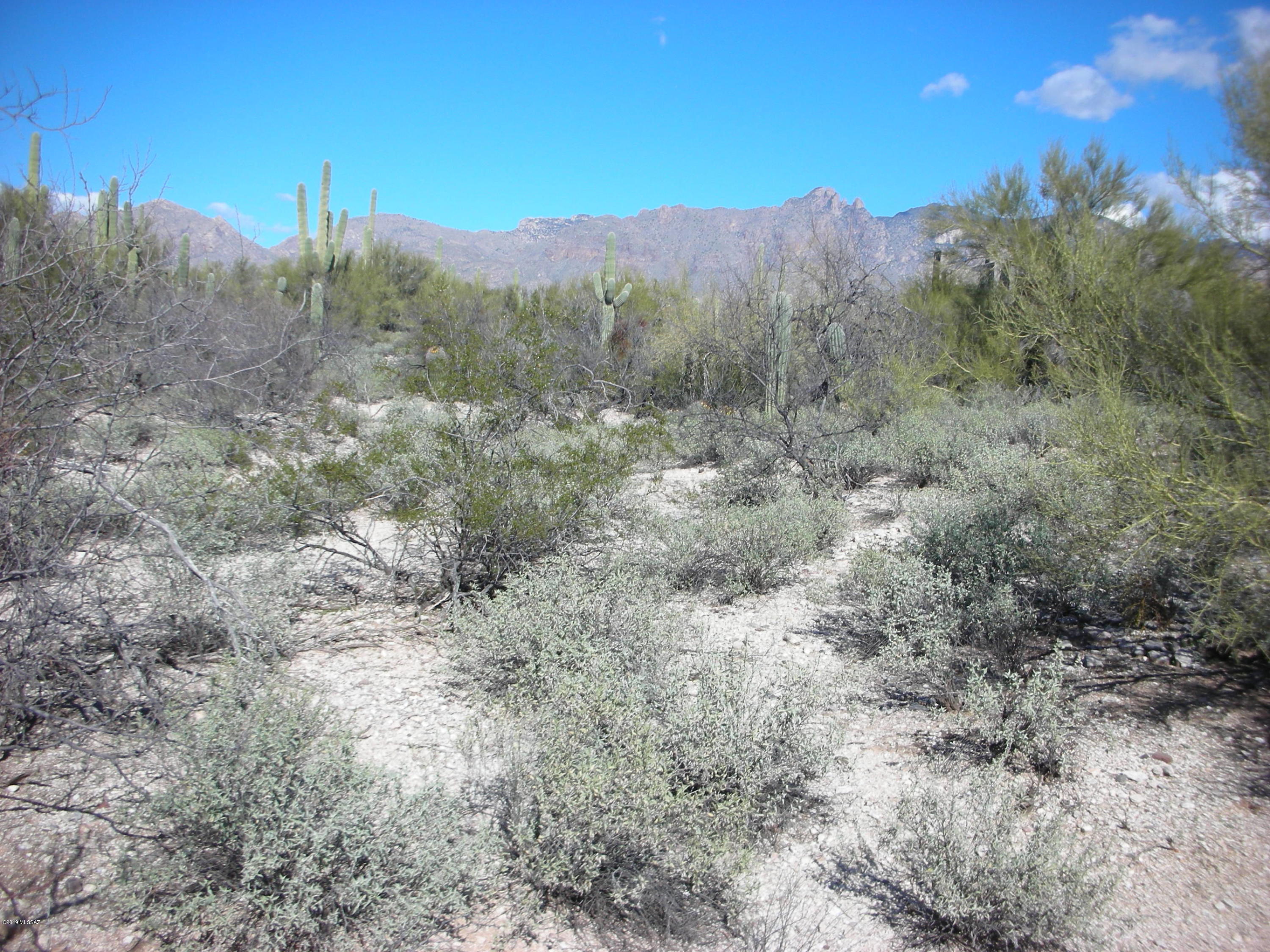 RARELY AVAILABLE, apprx. 1 acre lot in the HEART of the 'OLD FOOTHILLS'. Enjoy MOUNTAIN and CITY LIGHT VIEWS, peace and quiet, WONDERFUL, EASY and QUICK ACCESS to U of A, Tucson and all FOOTHILLS AMENITIES. Best views and home site location from easterly portion of lot. Buy adjoining lot, also owned by seller, for an estate sized, appx. 2 acre site at a discounted price . RARELY FOUND appx 15 acres of FOREVER, NATURAL OPEN SPACE directly across the street (see 'Documents' for details. Wonderful area of high-end custom homes, no HOA fees and District 16 schools, with Manzanita Elementary and Orange Grove middle. Previously purchased for $425,000, seller sacrifice at $169,000. Ask about excellent LOT LOAN financing available.