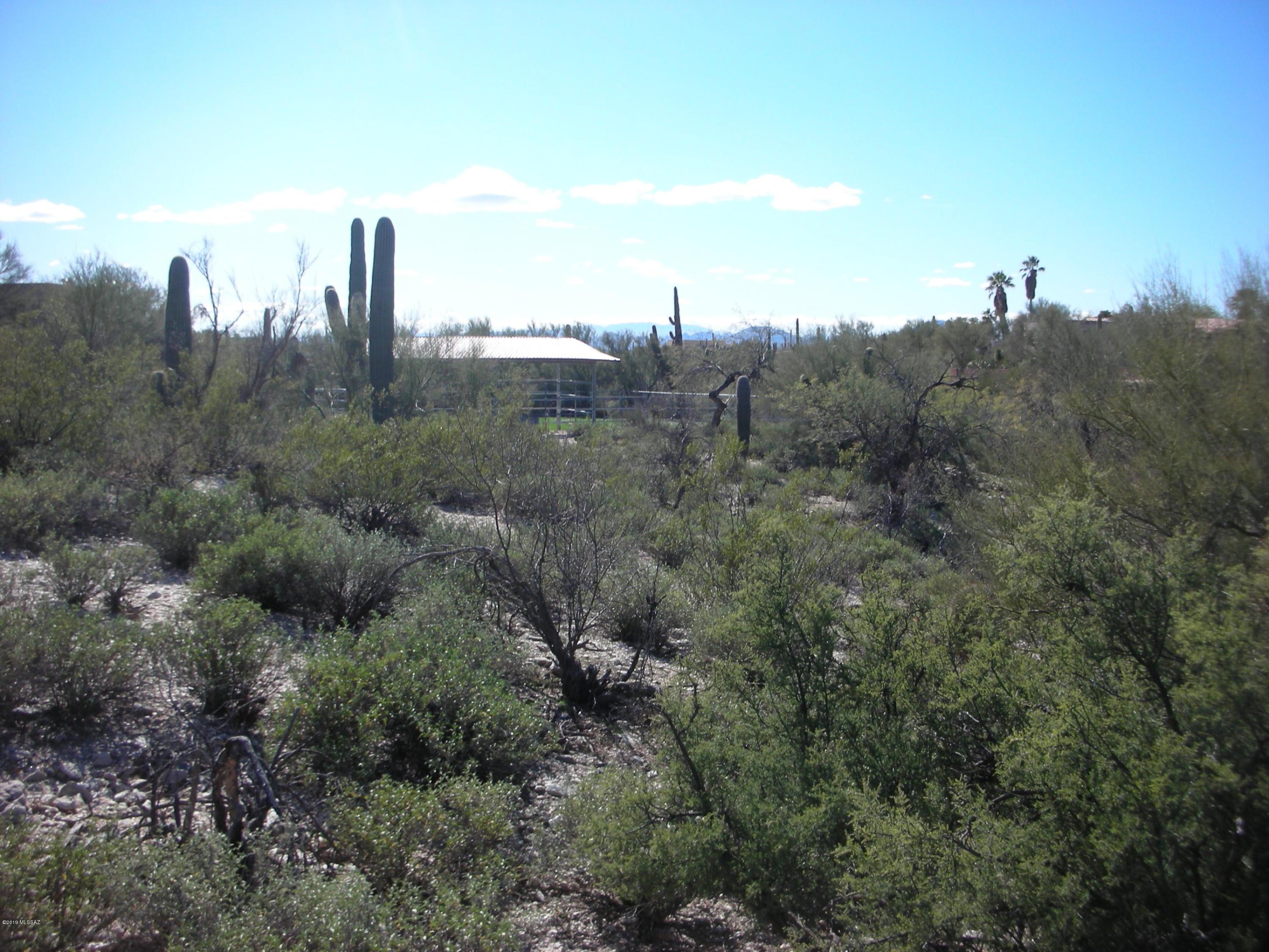 Catalina Foothills Estates - Land