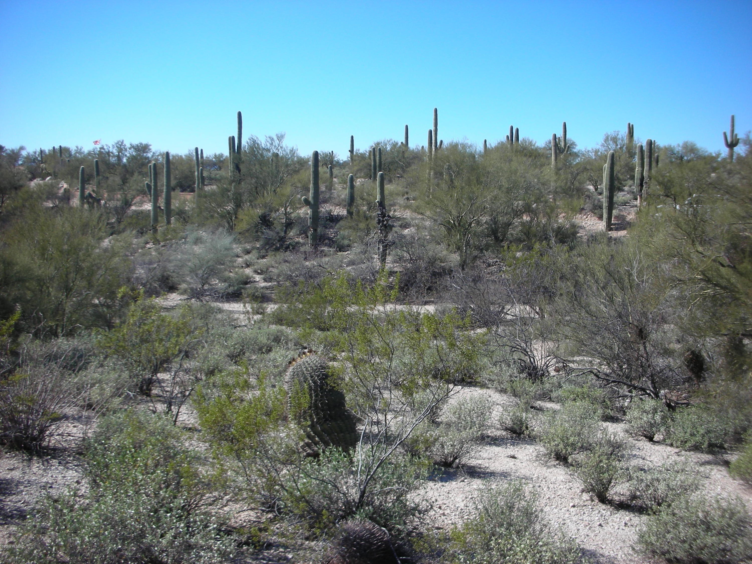 Catalina Foothills Estates - Land