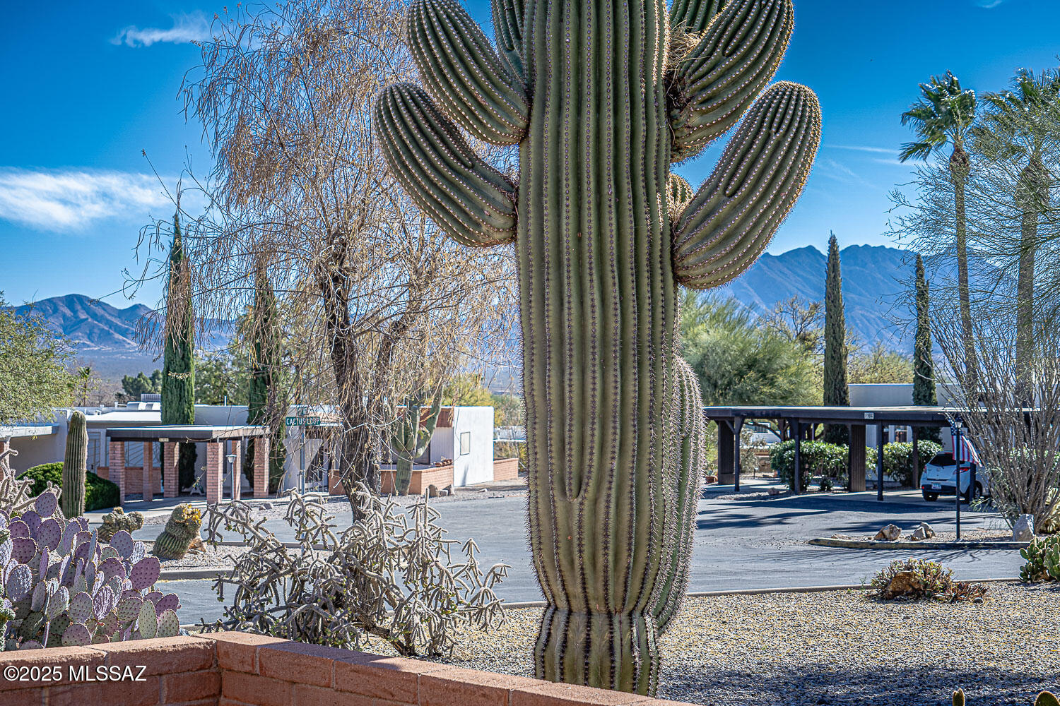 The one you've been waiting for! This beautifully updated end-unit townhome in the popular Casa Paloma II community is amazing! 2 BR/2 BA + bonus room, it has been meticulously upgraded throughout in 2024. Kitchen features stunning granite counters, new sink & fixtures with filtered water, and all new appliances, including a modern vent hood. Lovely natural travertine stone backsplash The home boasts new vinyl plank flooring, updated doors, and stylish hardware. Bathrooms are equipped with granite counters and oversized sinks. The bonus room has been enhanced with extra insulation, heating, and cooling for year-round comfort. Relax outside in the lovely front courtyard w/mountain views. Most furniture available too. Too many enhancements to list here, pls see list in documents. Very close proximity to CPII GV Rec center with pool/spa & shuffleboard. Don't miss this gem!
