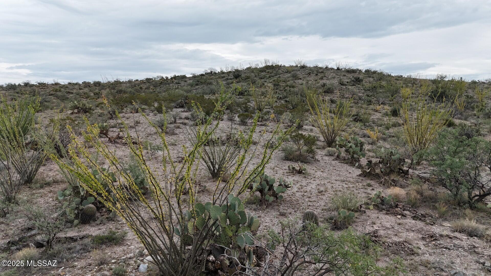 Looking for the peace and tranquility of a rural lifestyle?  This 20 acres with multiple potential building sites, Including hilltop with SPECTACULAR VIEWS is it!   Corner lot can be Off Grid, just drill a well and install septic. Beautiful Ocotillos and other desert flora and fauna.  Can be purchased with adjoining 20 acre lot, see MLS #22525992.