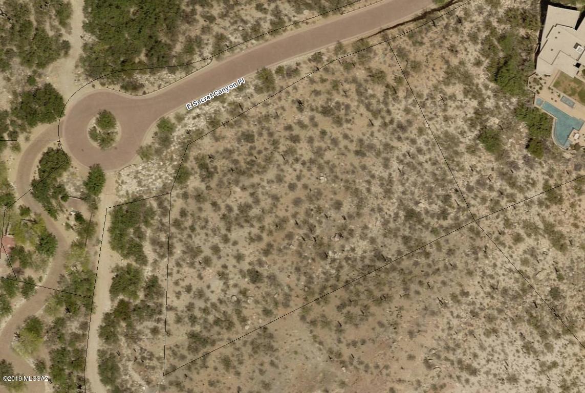 Located in the Canyons, one of Catalina Foothills most prestigious and exclusive communities. This community offers some of the best views and natural desert vegetation that Tucson has to offer. Easy access to outdoor shopping at La Encantada and Swan and Sunrise. Custom home site captures breathtaking mountain and city views. Incredible chance to build your dream home on a sizable lot of over an acre. Don't miss this! (Lot can be purchased with Lot 60).