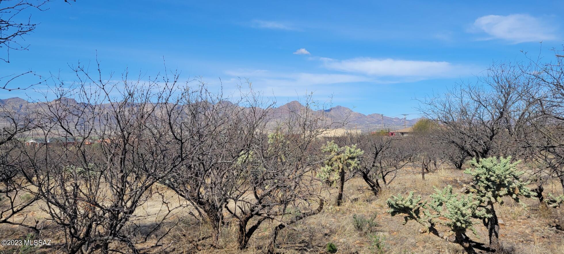 Rio Rico Ranchettes 18 - Land