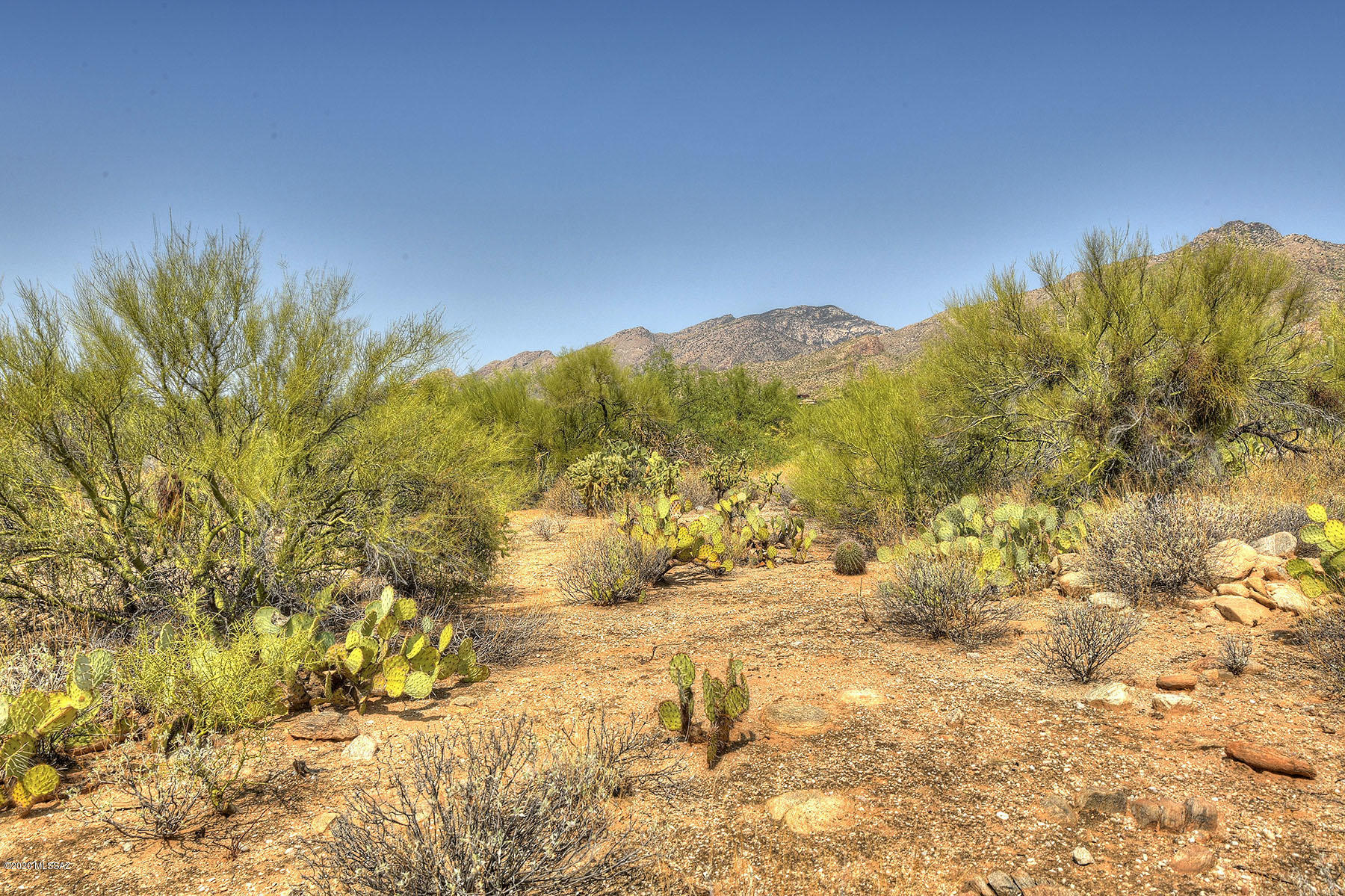 Canyon View Estates (1-58) - Land