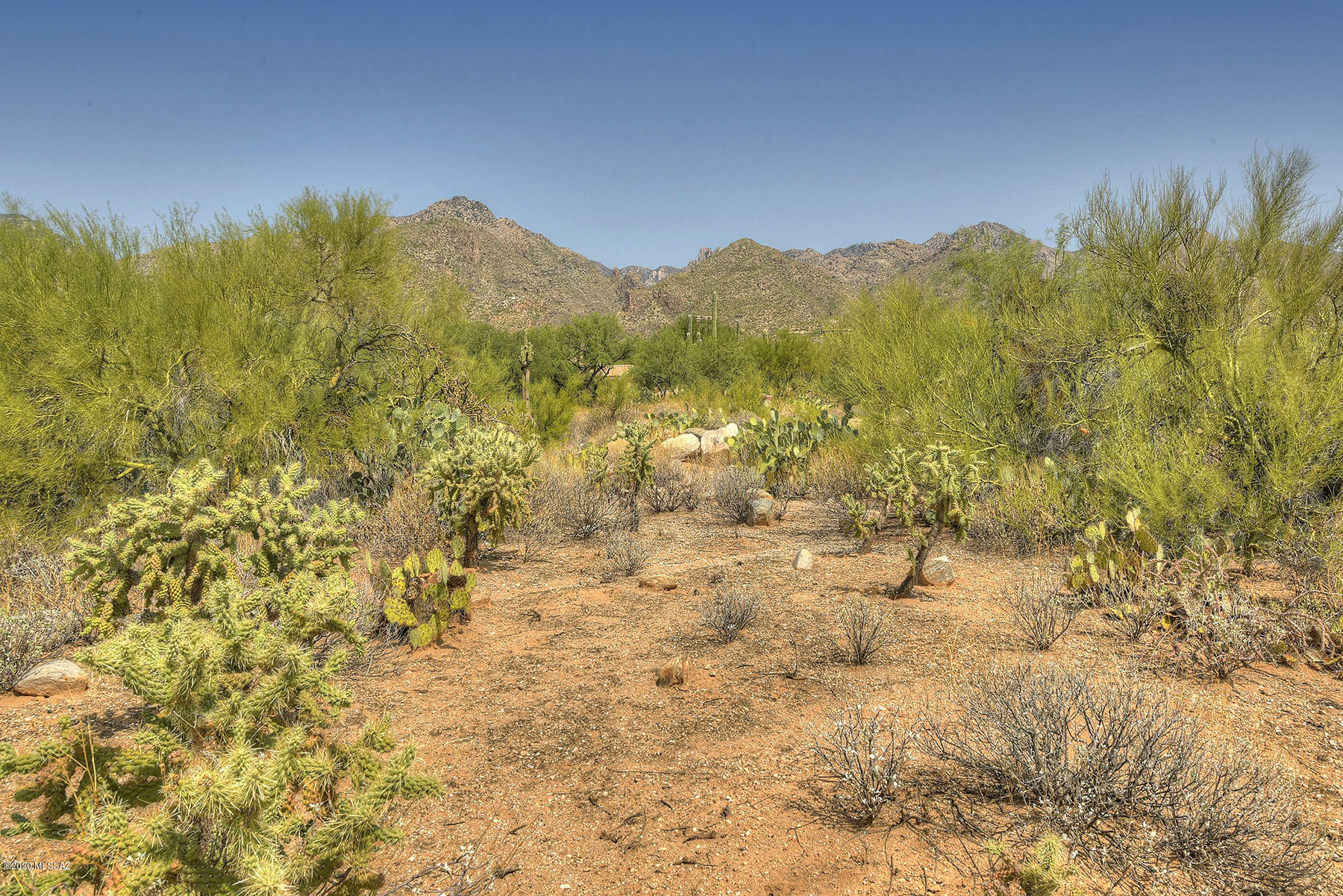 Canyon View Estates (1-58) - Land
