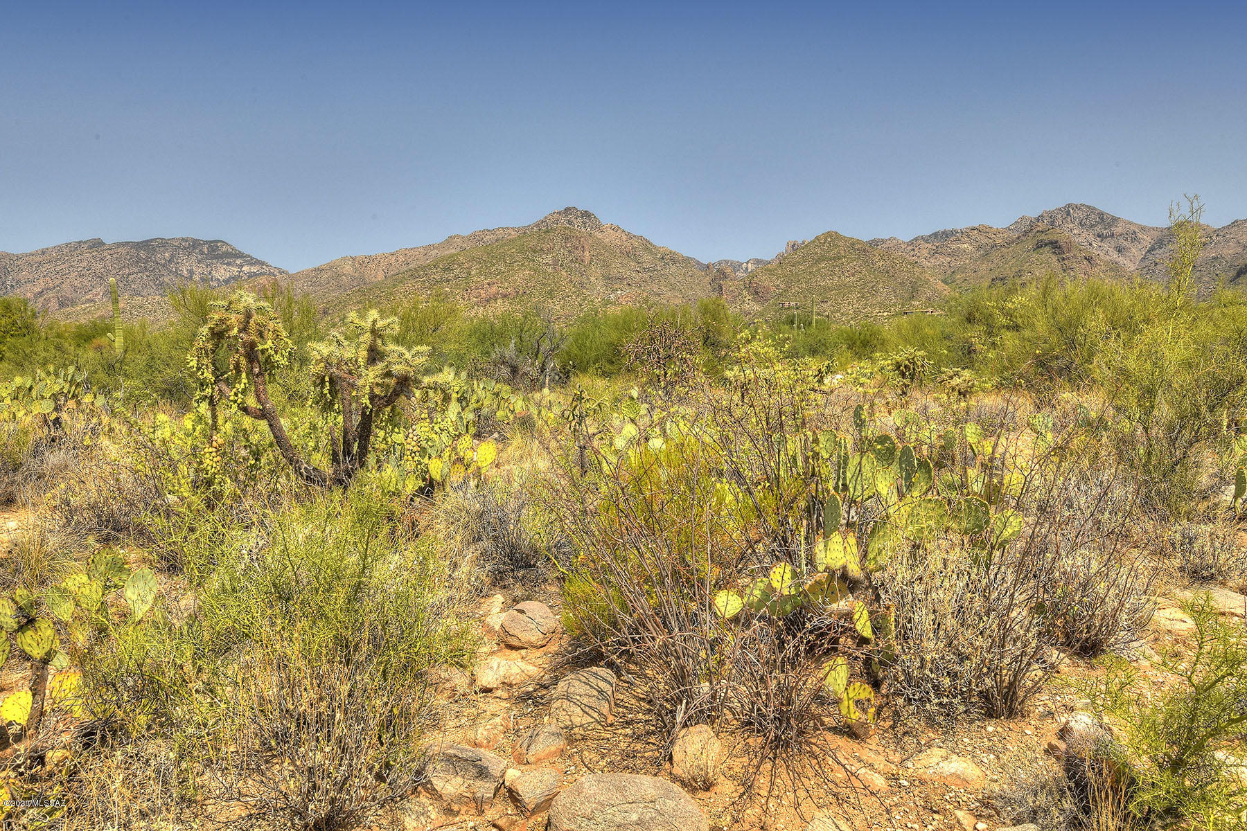 Canyon View Estates (1-58) - Land