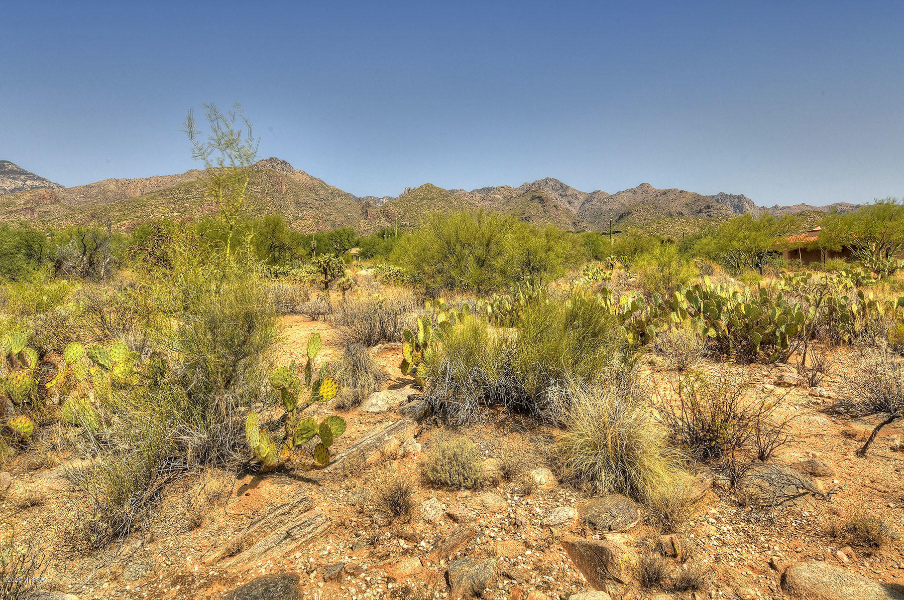 Canyon View Estates (1-58) - Land
