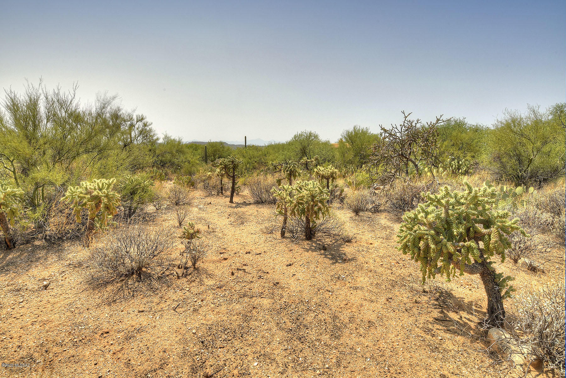 Canyon View Estates (1-58) - Land