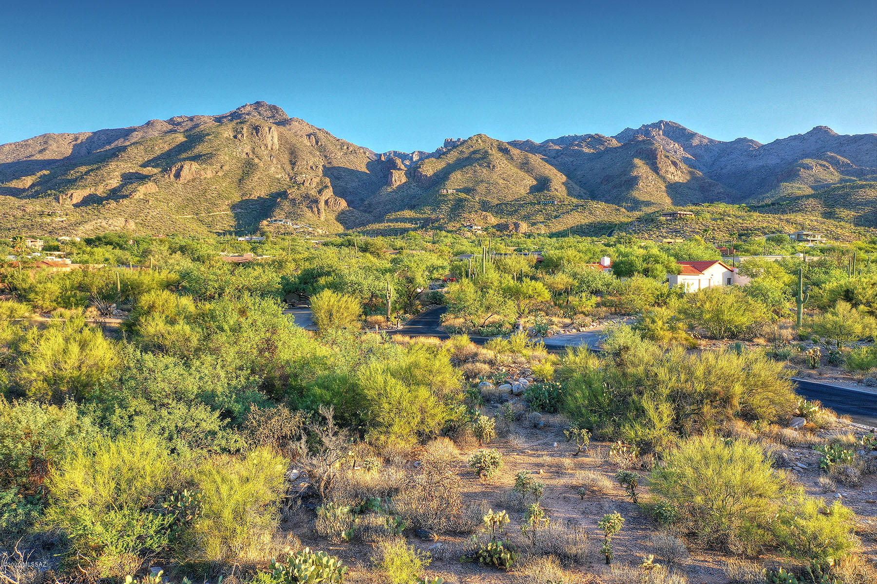 Build your dream home on this beautiful flat lot behind the Gated Community of Canyon View Estates. The mountain views to the North are endless! Relish in the lush desert landscaping that will surround your new custom home.  Private lot, almost an acre in size, located on a curve so feels much larger!  Close to Sabino Canyon and many other amenities.