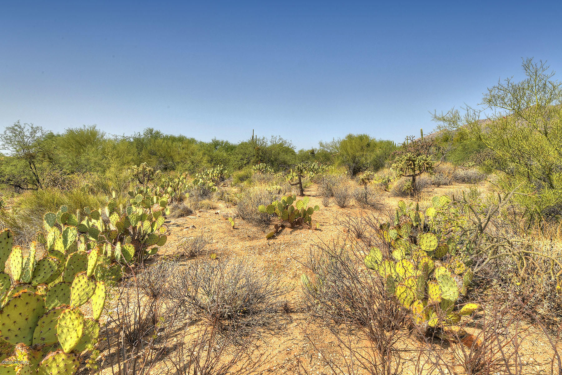 Canyon View Estates (1-58) - Land