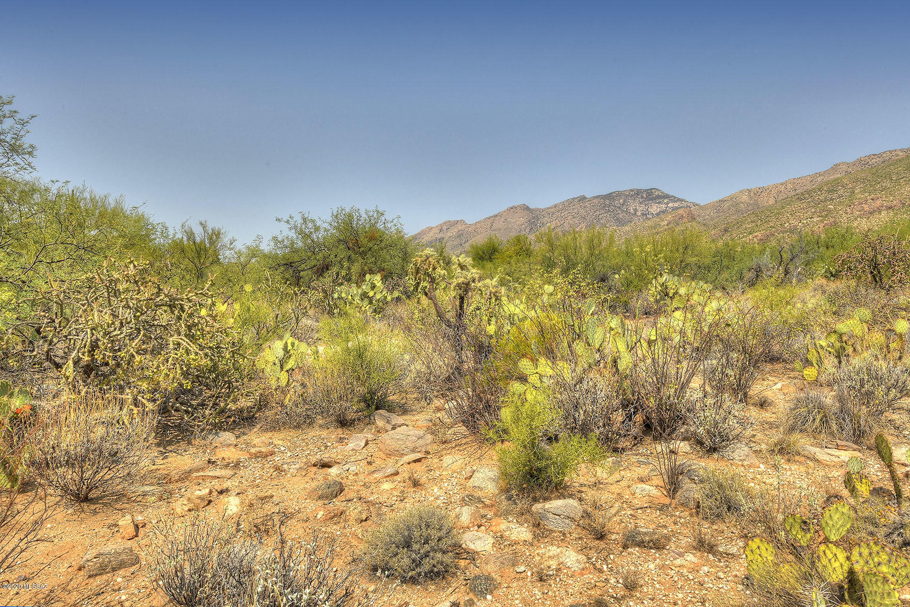 Canyon View Estates (1-58) - Land