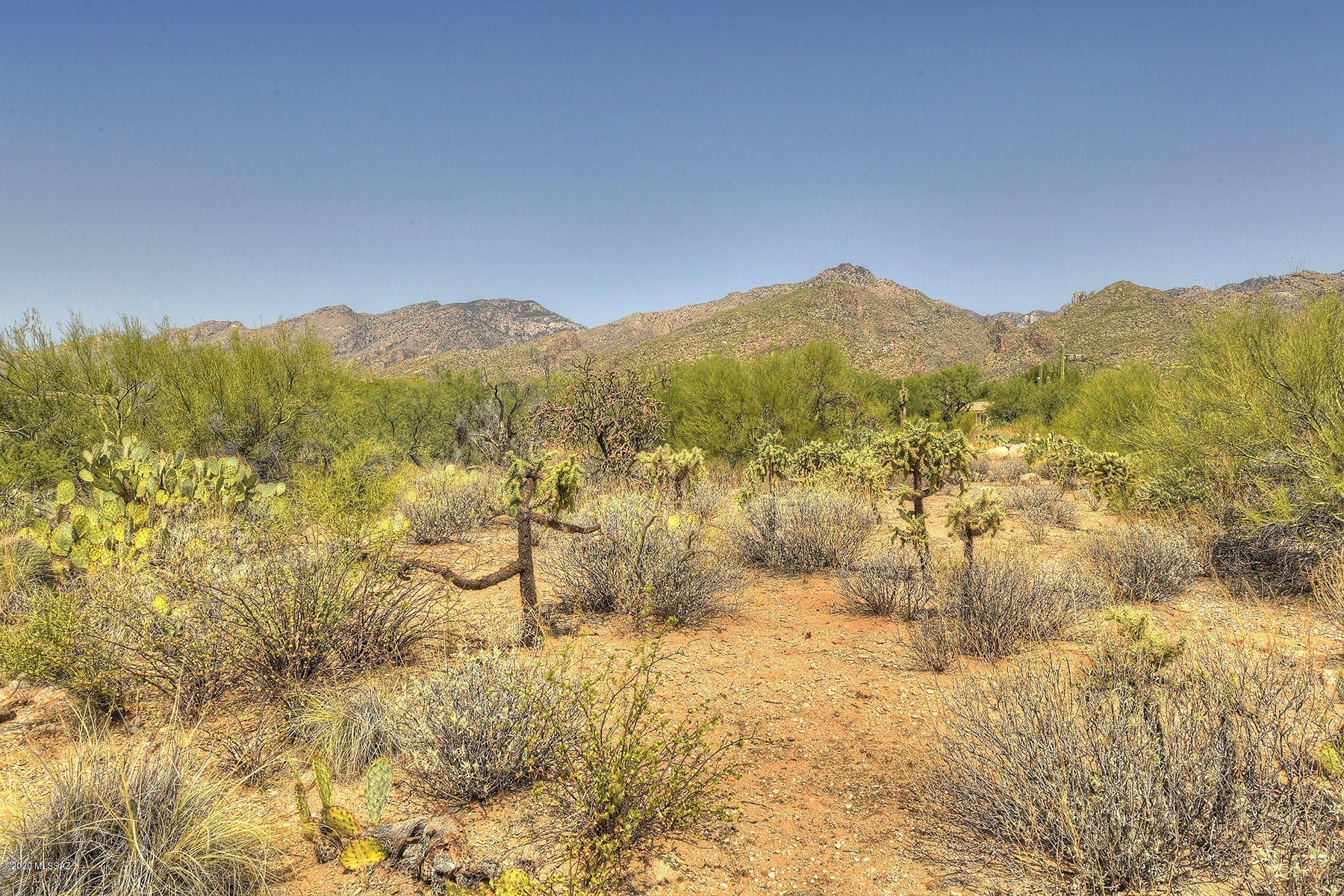 Canyon View Estates (1-58) - Land
