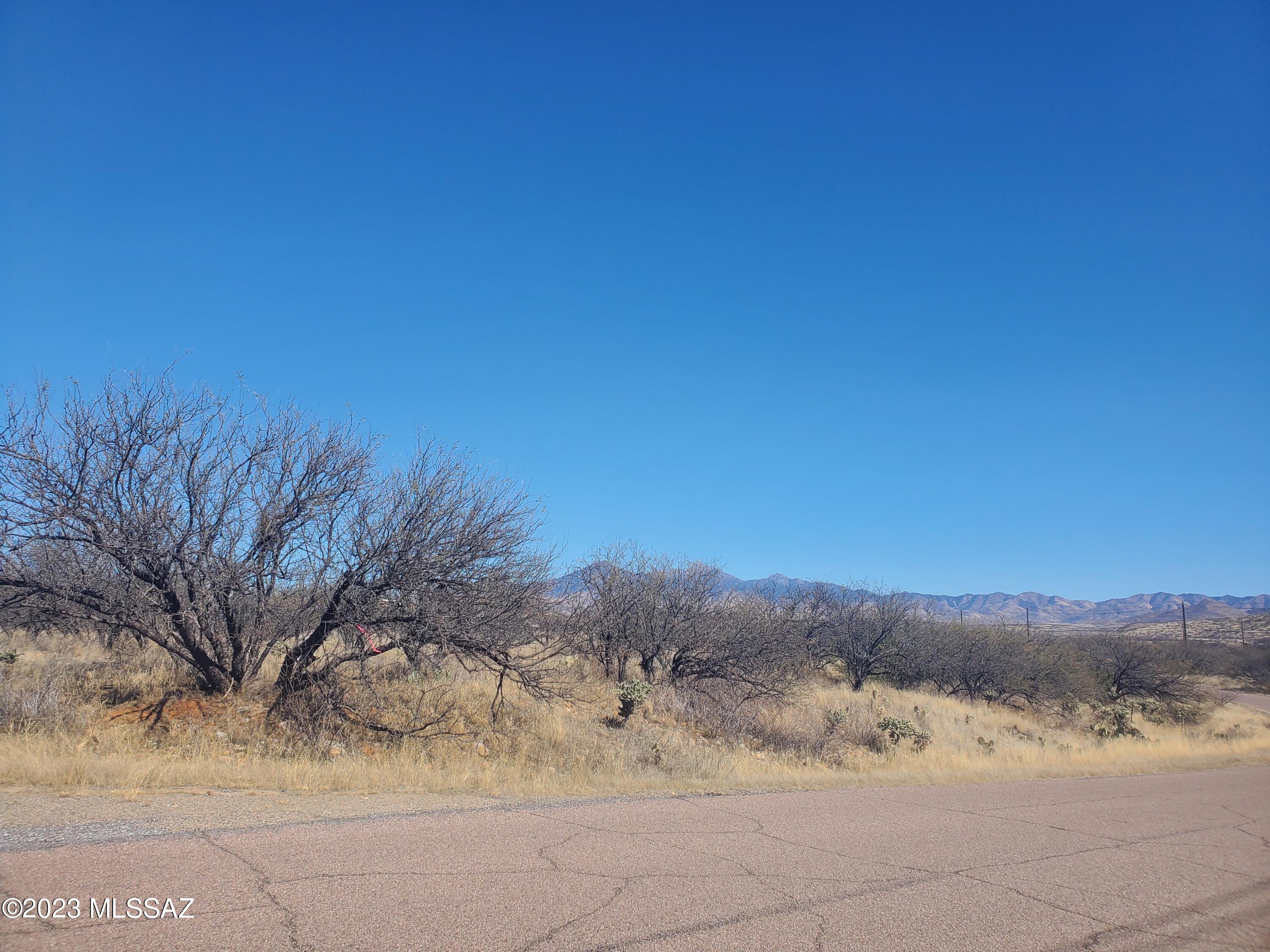 Rio Rico Villas 11 - Land