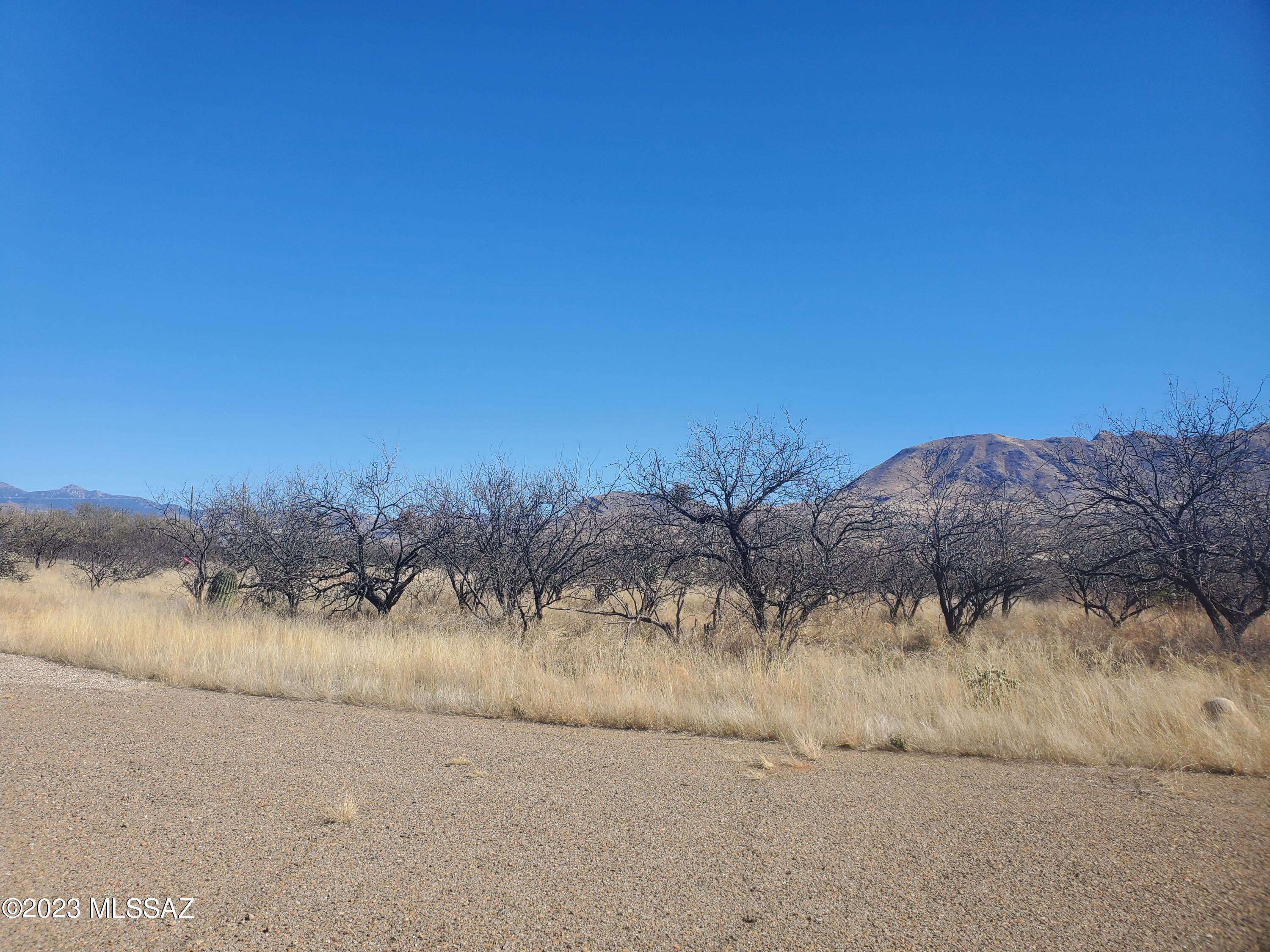 Rio Rico Villas 11 - Land