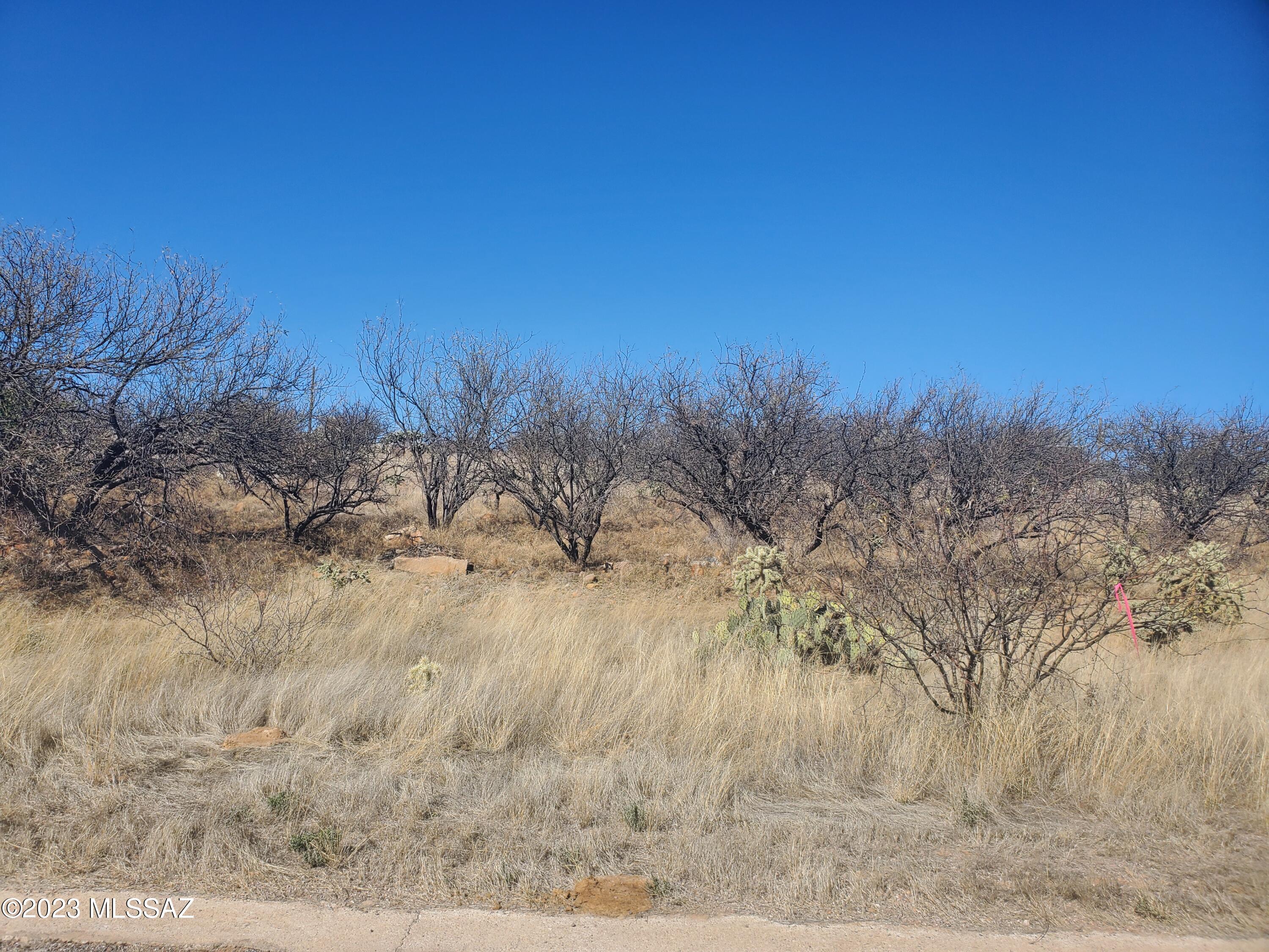 Rio Rico Villas 11 - Land