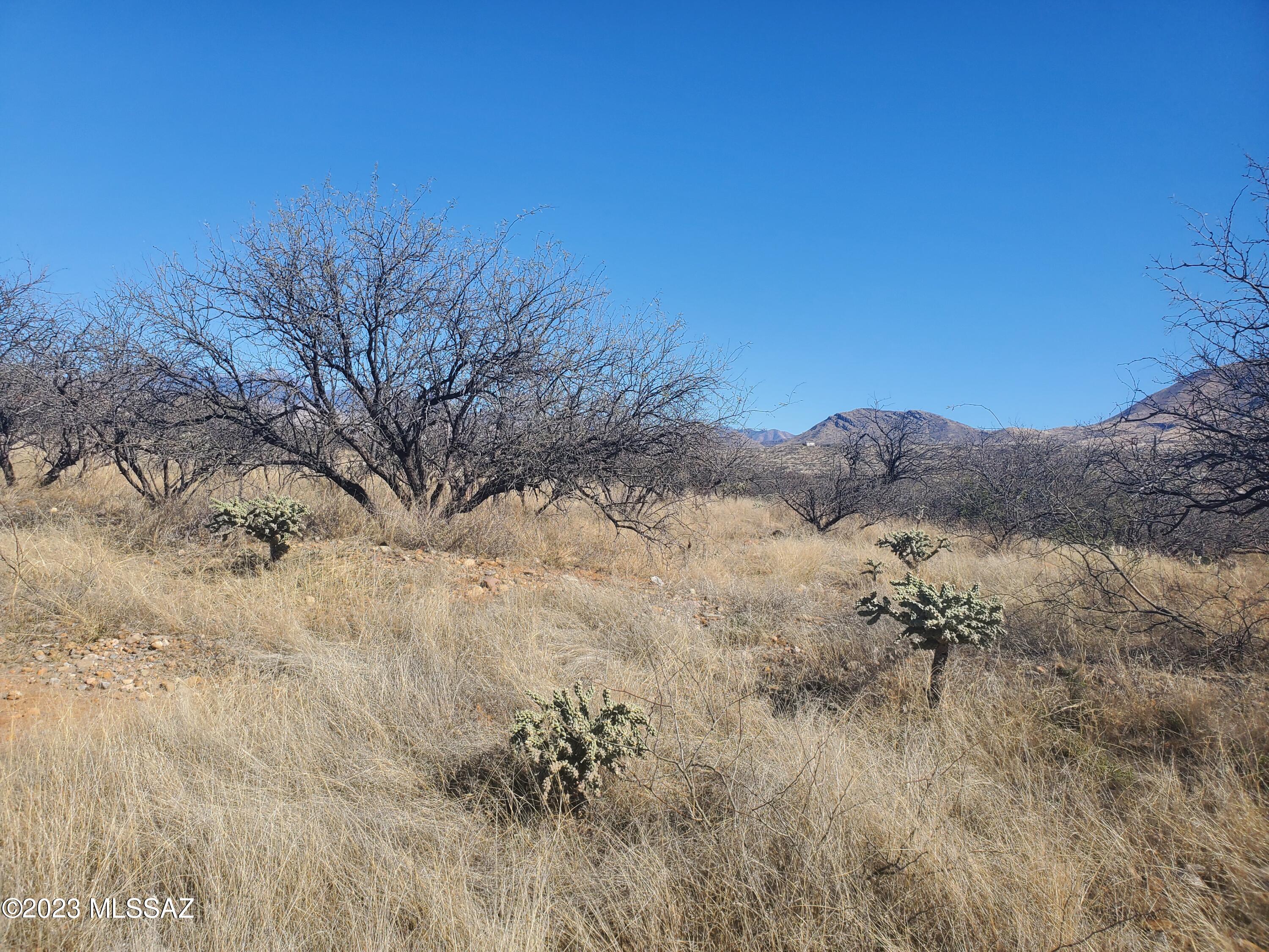 Rio Rico Villas 11 - Land