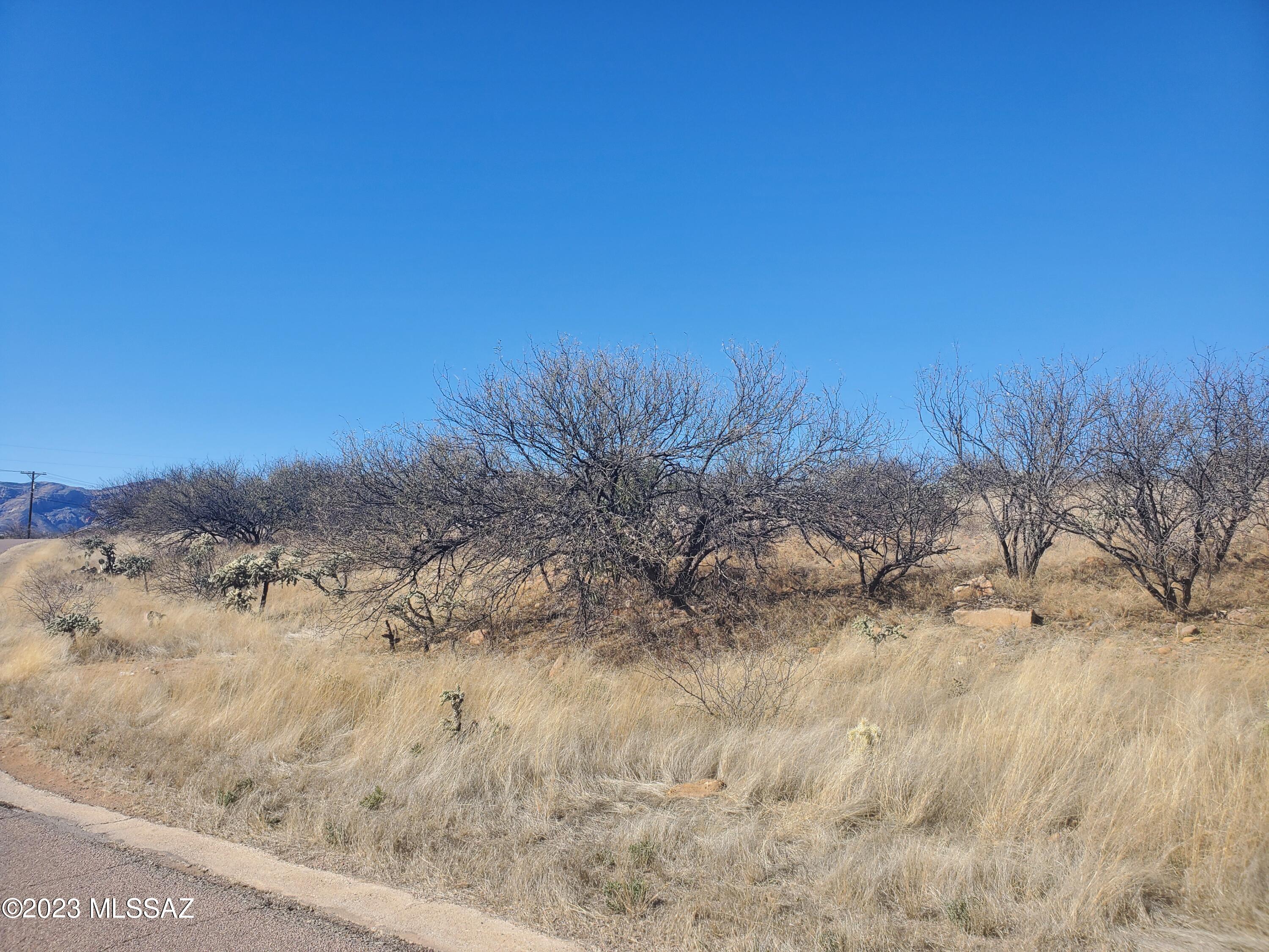 Rio Rico Villas 11 - Land