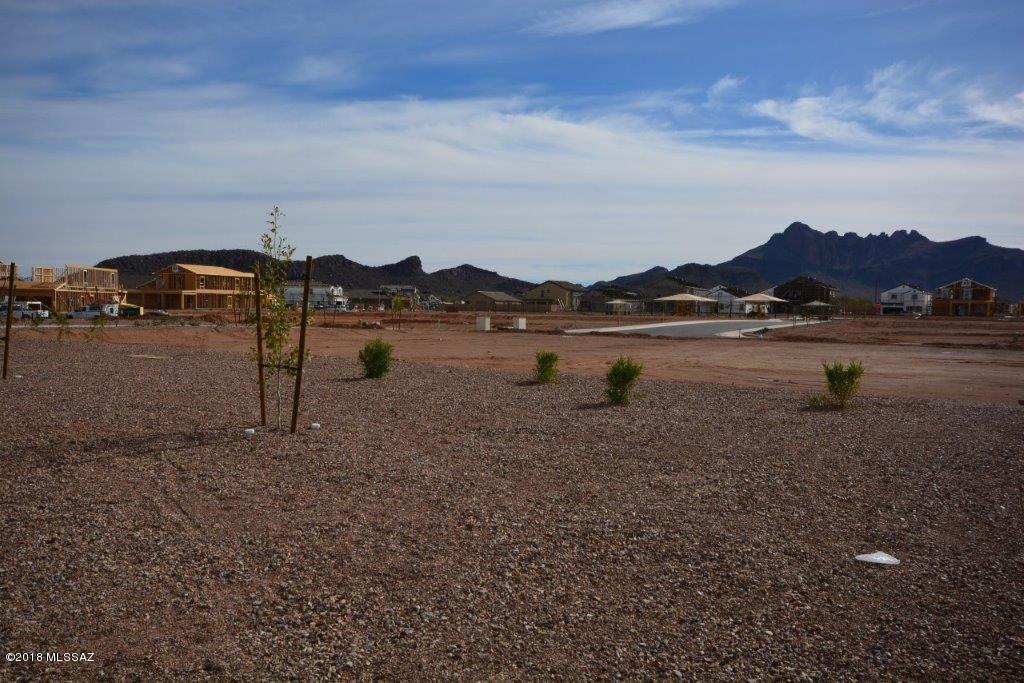 Saguaro Bloom Block 2 - Residential