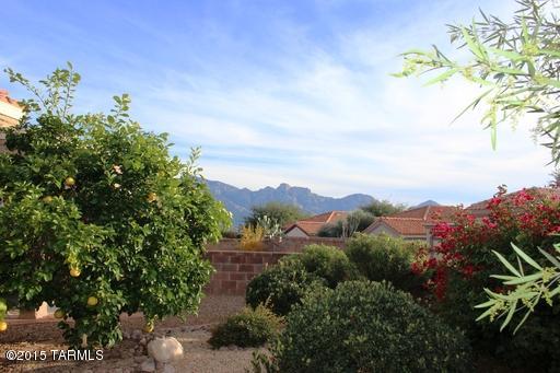 Sun City Vistoso Unit 18A(35-88) - Residential Lease