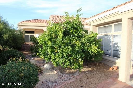 Sun City Vistoso Unit 18A(35-88) - Residential Lease