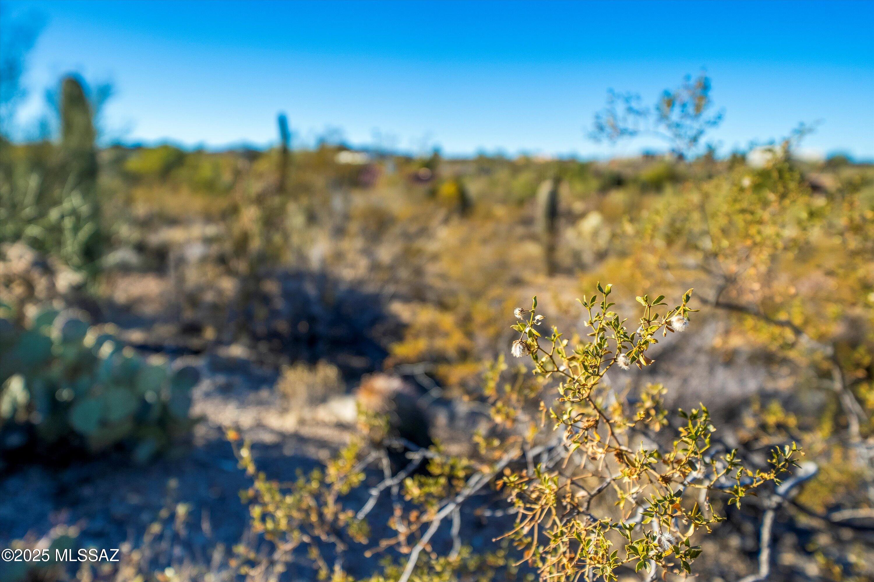Rancho Del Cerro (1-179) - Land