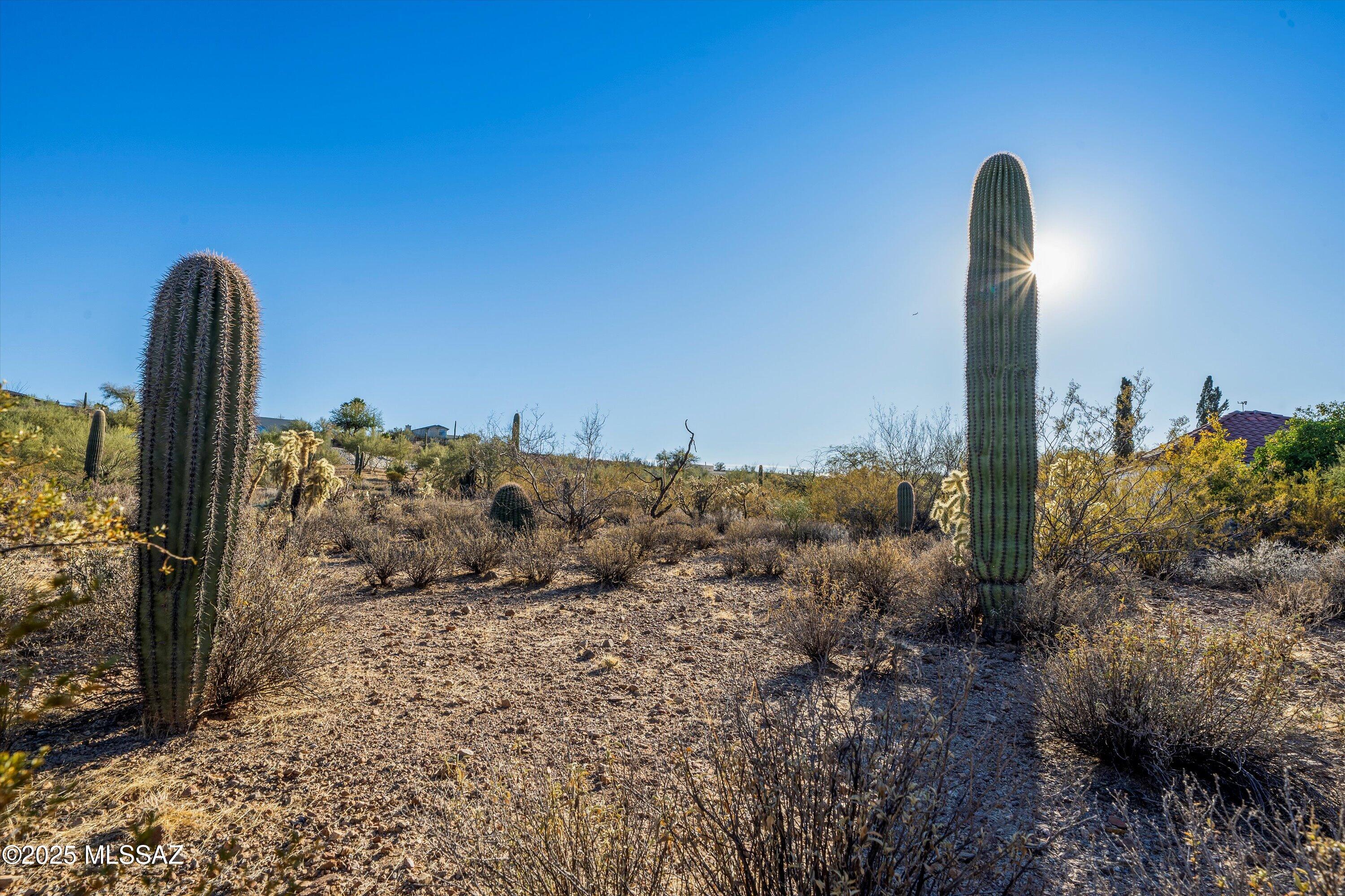 Rancho Del Cerro (1-179) - Land