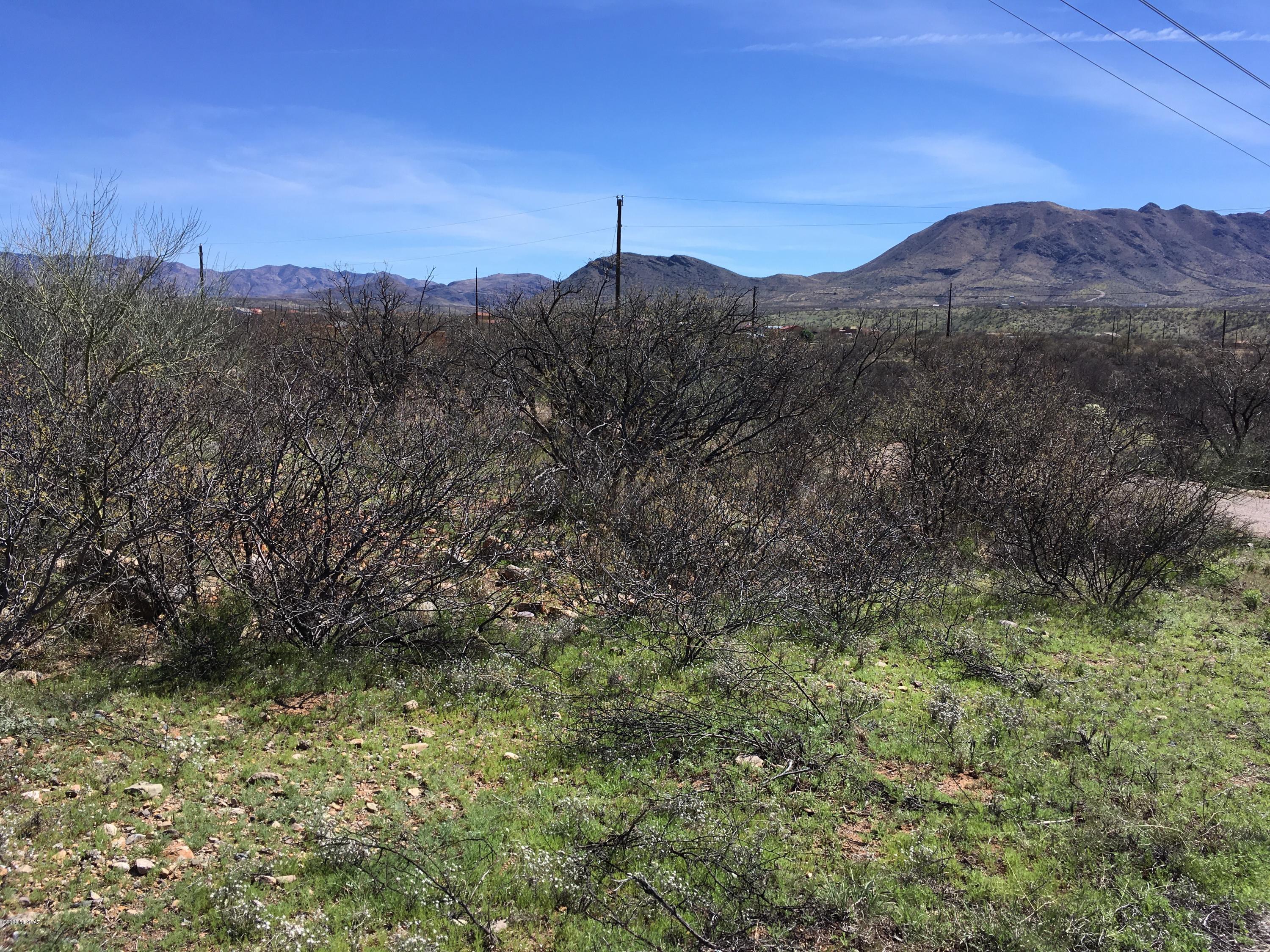 Rio Rico Villas 11 - Land